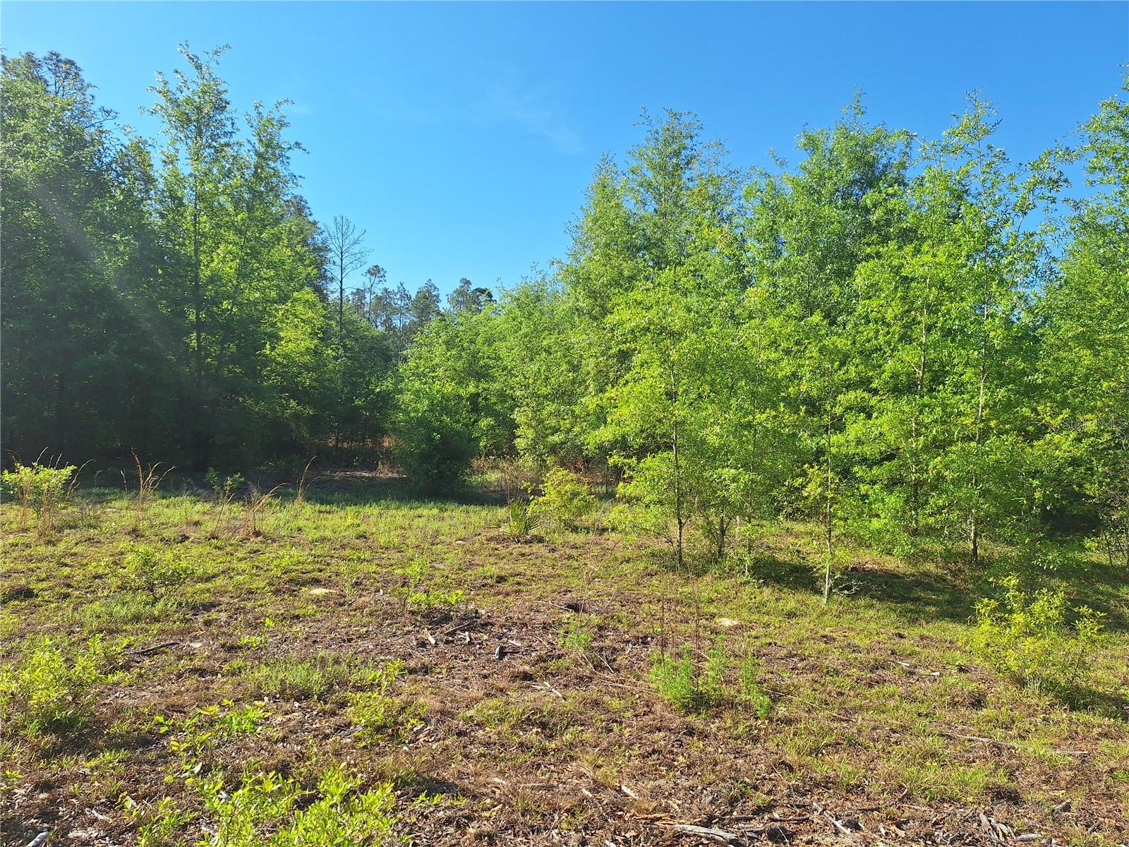 TBD 000 NE 998TH AVE, BRANFORD, FL, 32008