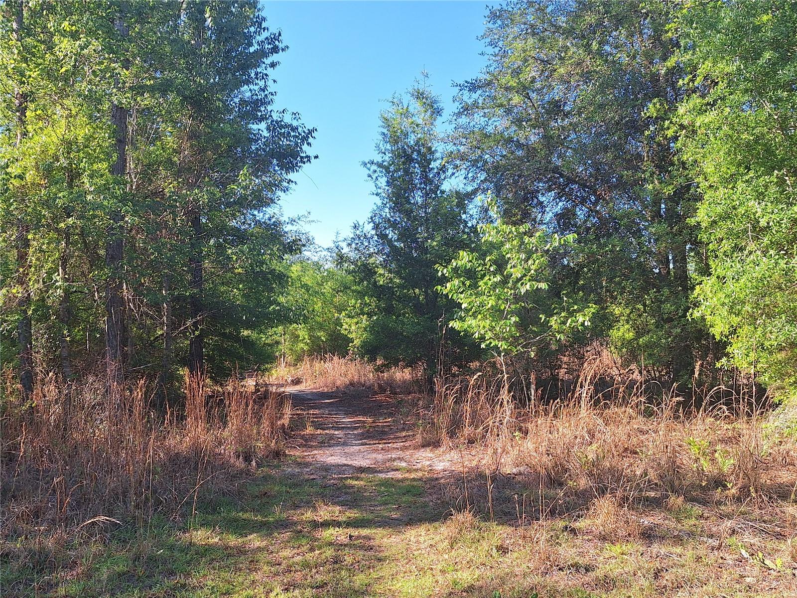 TBD 000 NE 998TH AVE, BRANFORD, FL, 32008