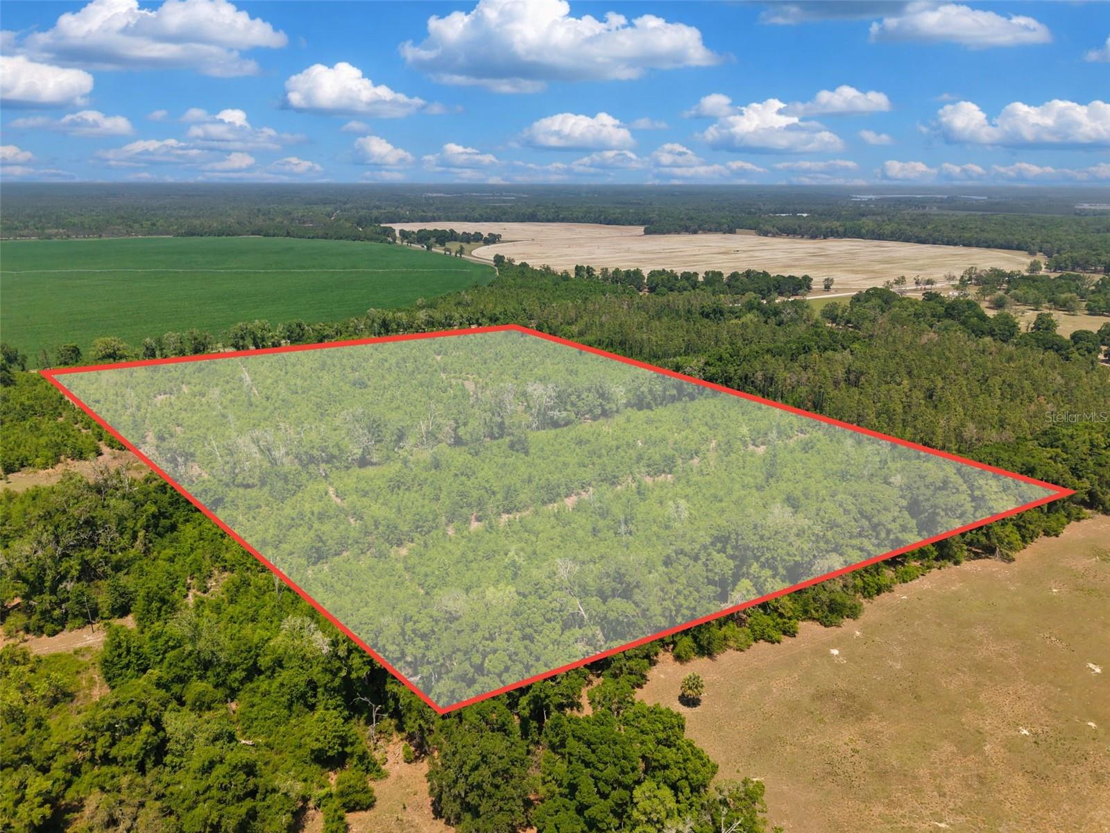 TBD 000 NE 998TH AVE, BRANFORD, FL, 32008