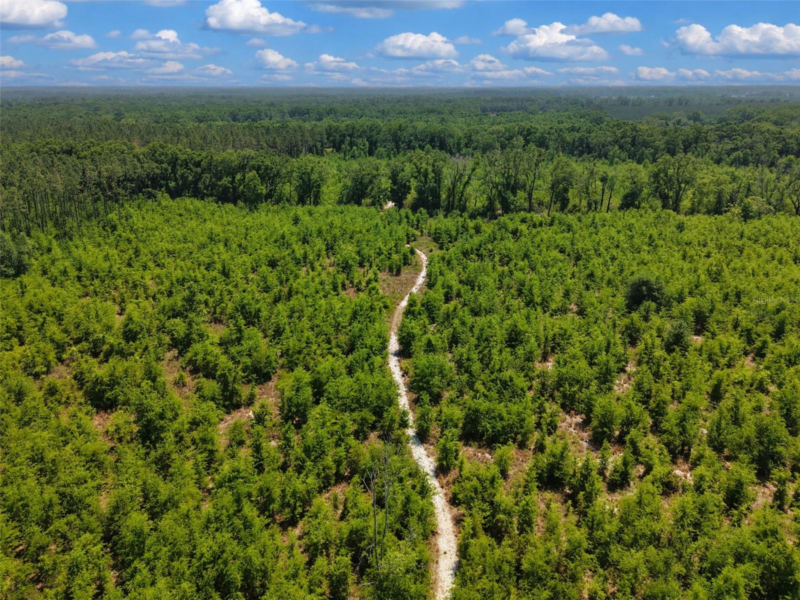 TBD 000 NE 998TH AVE, BRANFORD, FL, 32008