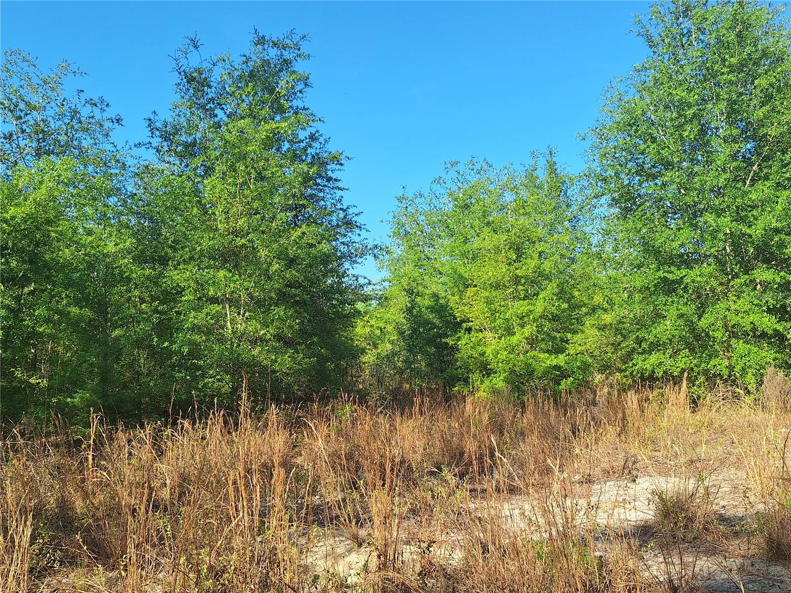 TBD 000 NE 998TH AVE, BRANFORD, FL, 32008