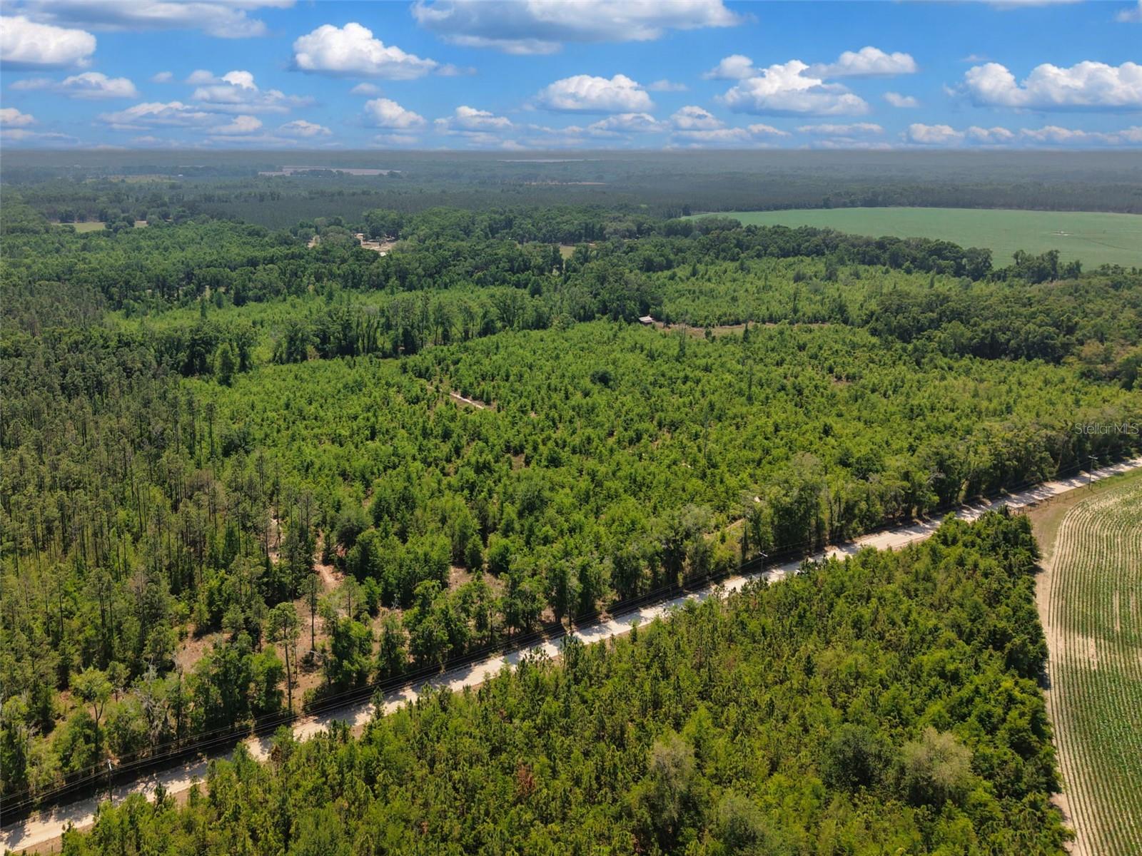 TBD 000 NE 998TH AVE, BRANFORD, FL, 32008