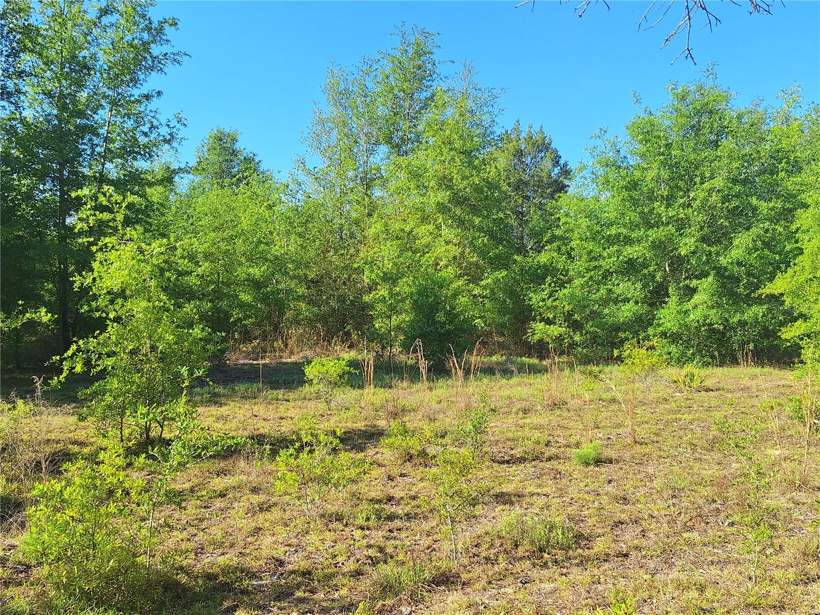 TBD 000 NE 998TH AVE, BRANFORD, FL, 32008