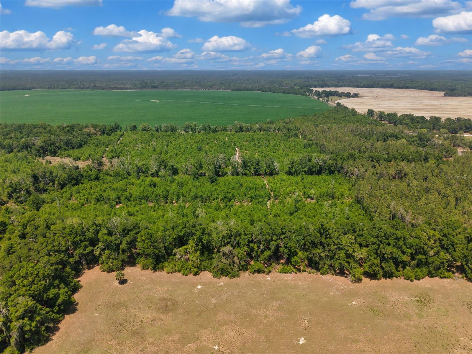 TBD 000 NE 998TH AVE, BRANFORD, FL, 32008