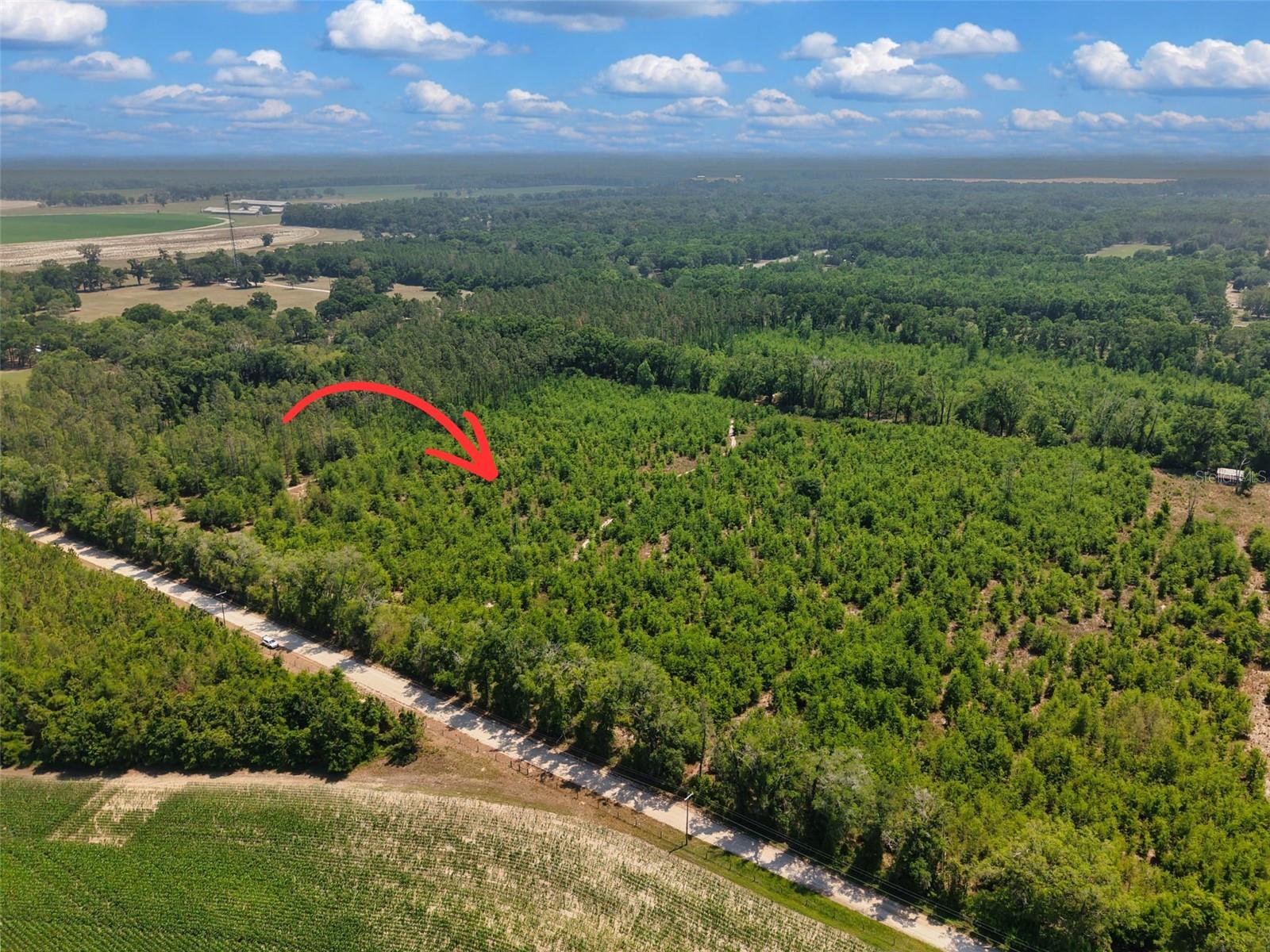 TBD 000 NE 998TH AVE, BRANFORD, FL, 32008