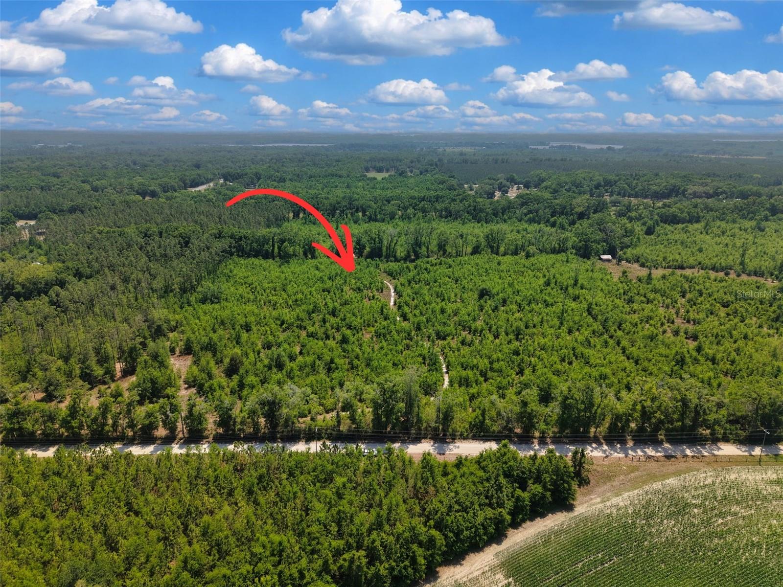 TBD 000 NE 998TH AVE, BRANFORD, FL, 32008