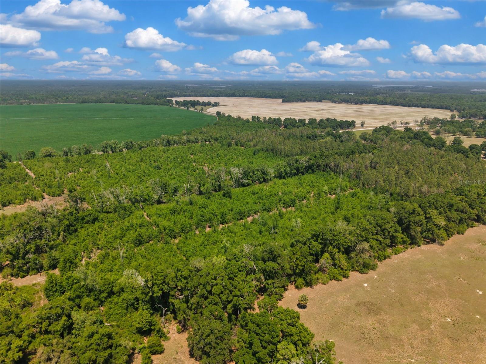 TBD 000 NE 998TH AVE, BRANFORD, FL, 32008