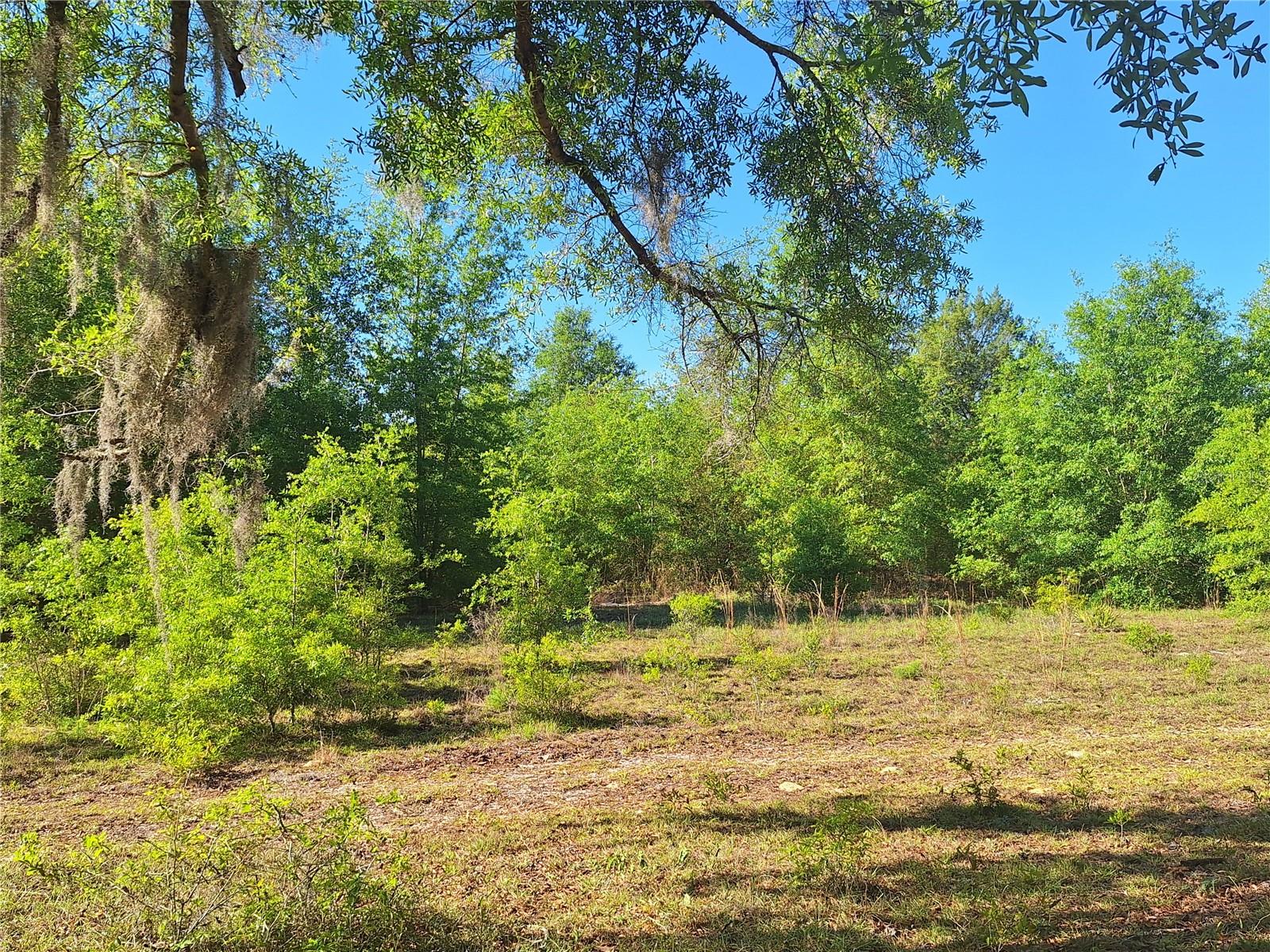 TBD 000 NE 998TH AVE, BRANFORD, FL, 32008