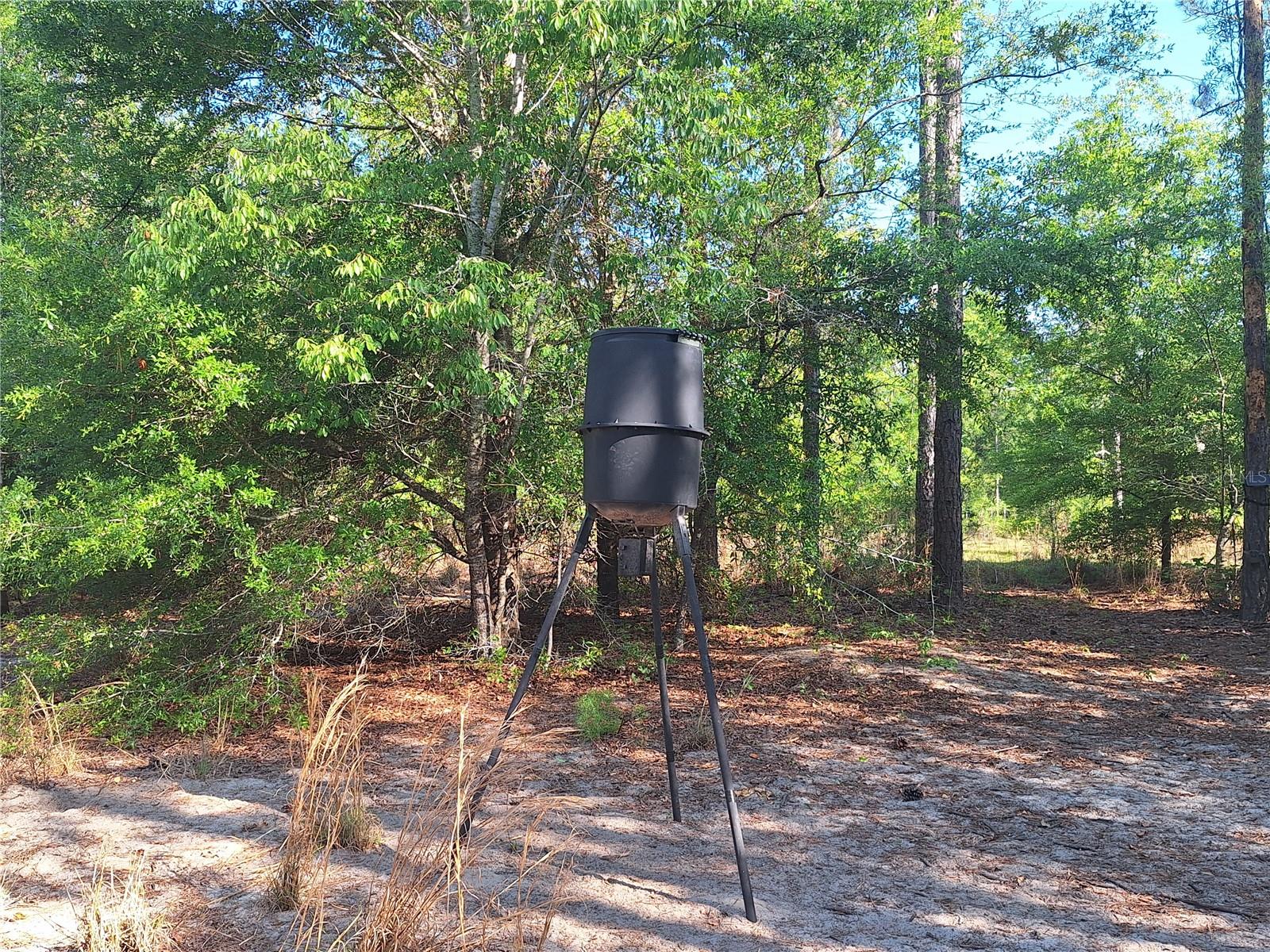 TBD 000 NE 998TH AVE, BRANFORD, FL, 32008