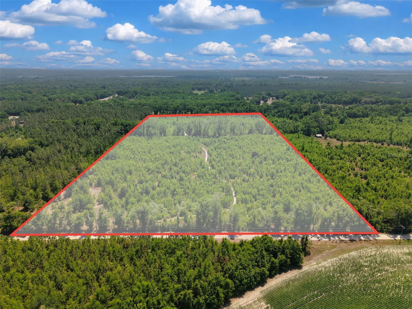 TBD 000 NE 998TH AVE, BRANFORD, FL, 32008