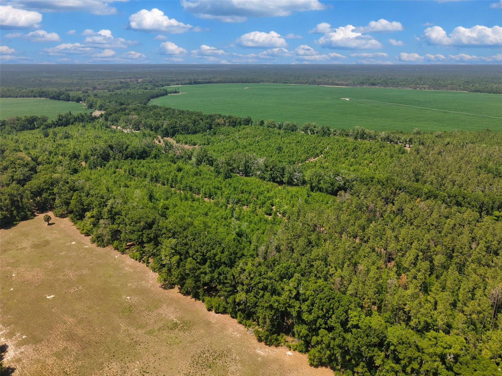 TBD 000 NE 998TH AVE, BRANFORD, FL, 32008