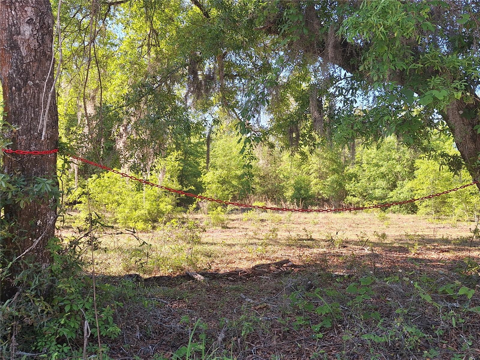 TBD 000 NE 998TH AVE, BRANFORD, FL, 32008