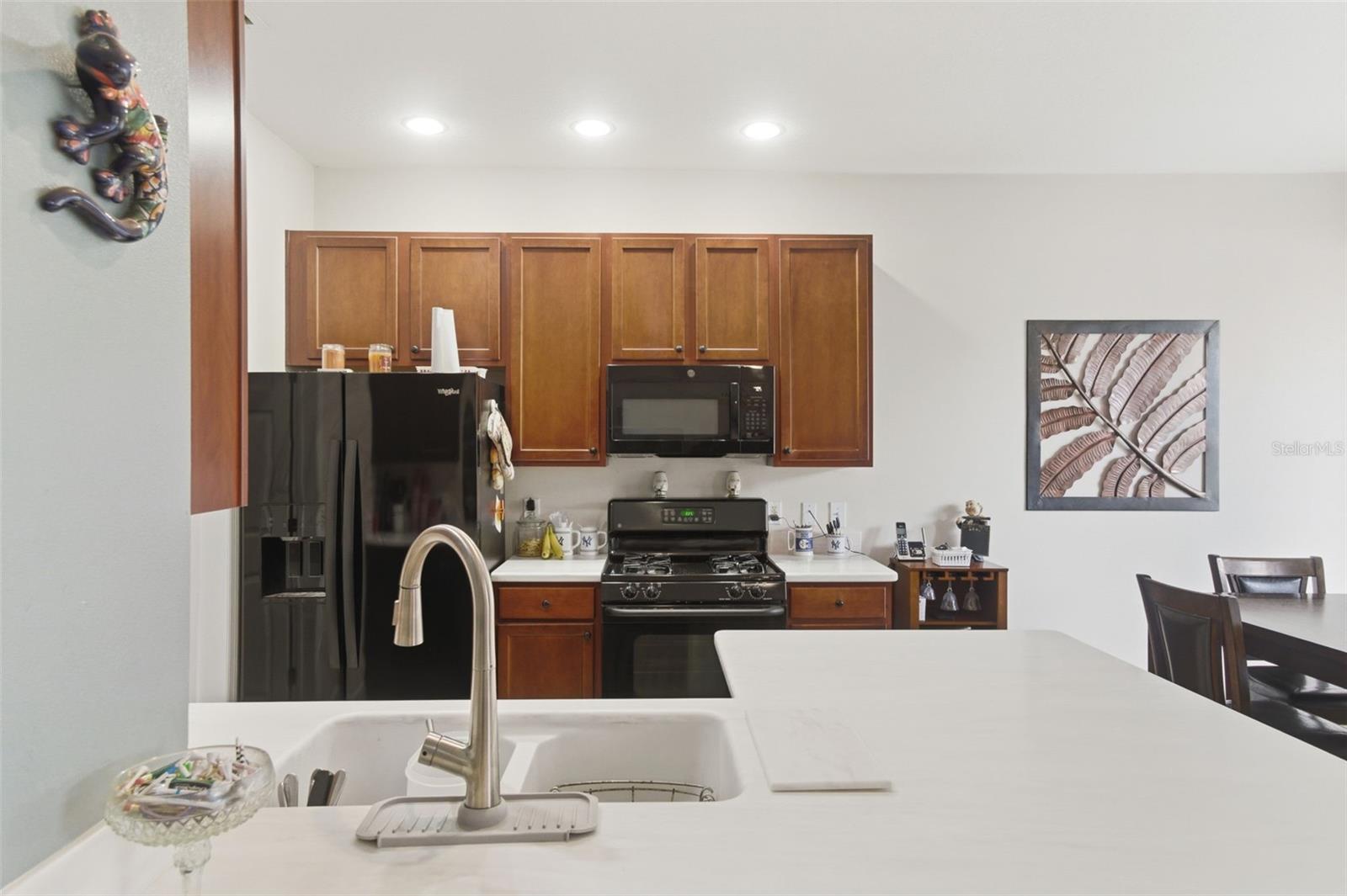 224 WOODHOUSE LN, DELAND, FL, 32724