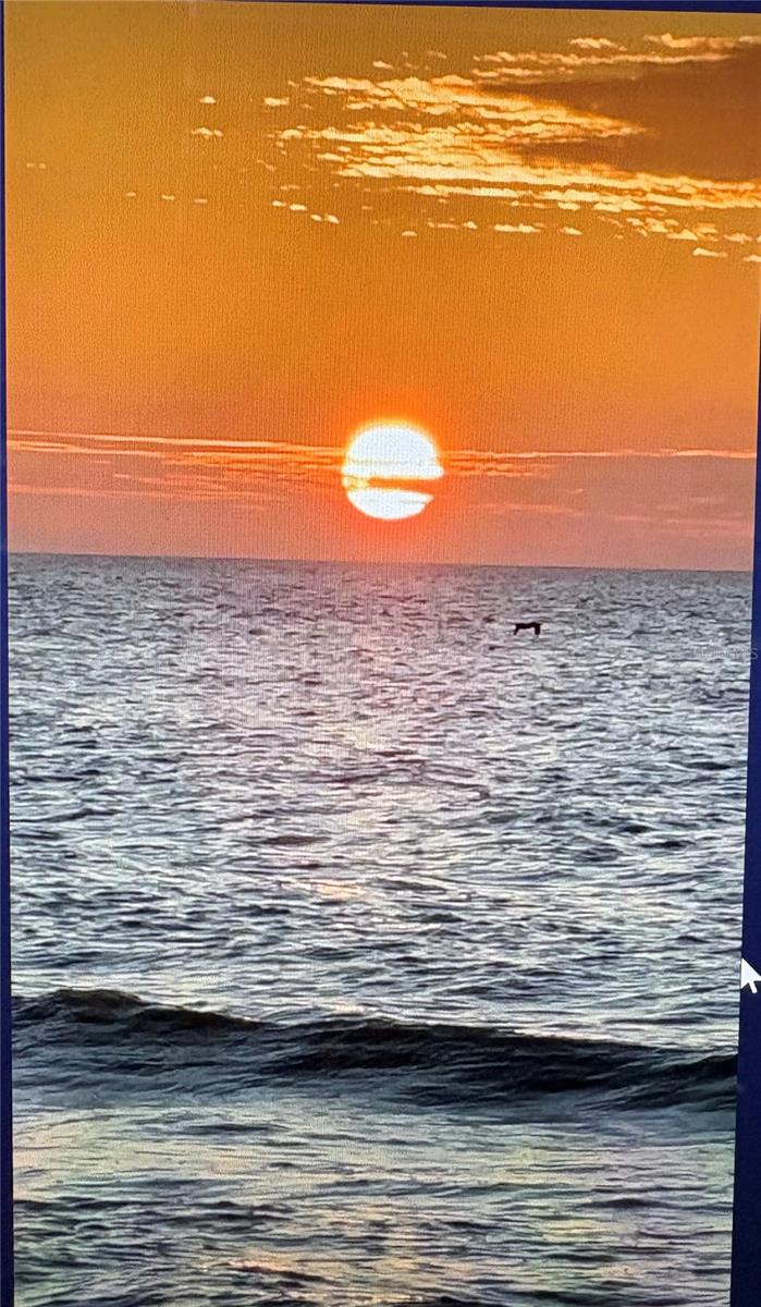 629 GARLAND CIR, INDIAN ROCKS BEACH, FL, 33785