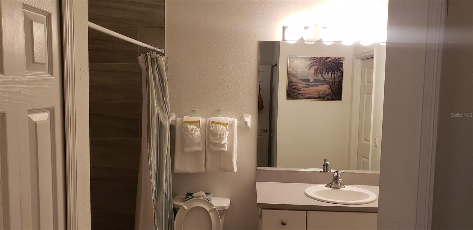 21032 PICASSO CT #205, LAND O LAKES, FL, 34637