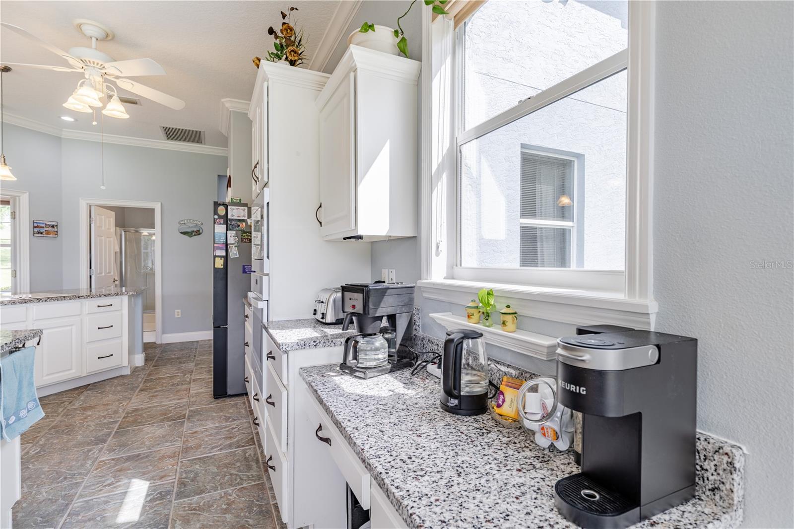 25101 TURKEY LAKE RD, HOWEY IN THE HILLS, FL, 34737