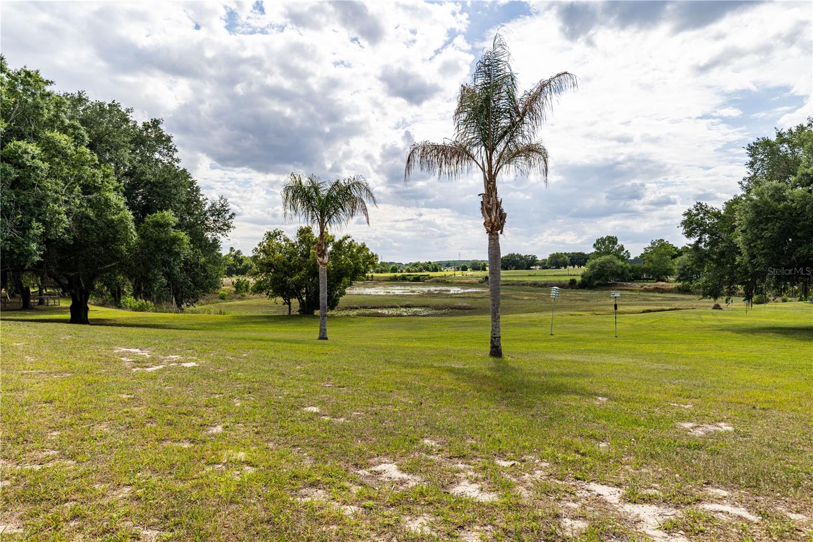 25101 TURKEY LAKE RD, HOWEY IN THE HILLS, FL, 34737