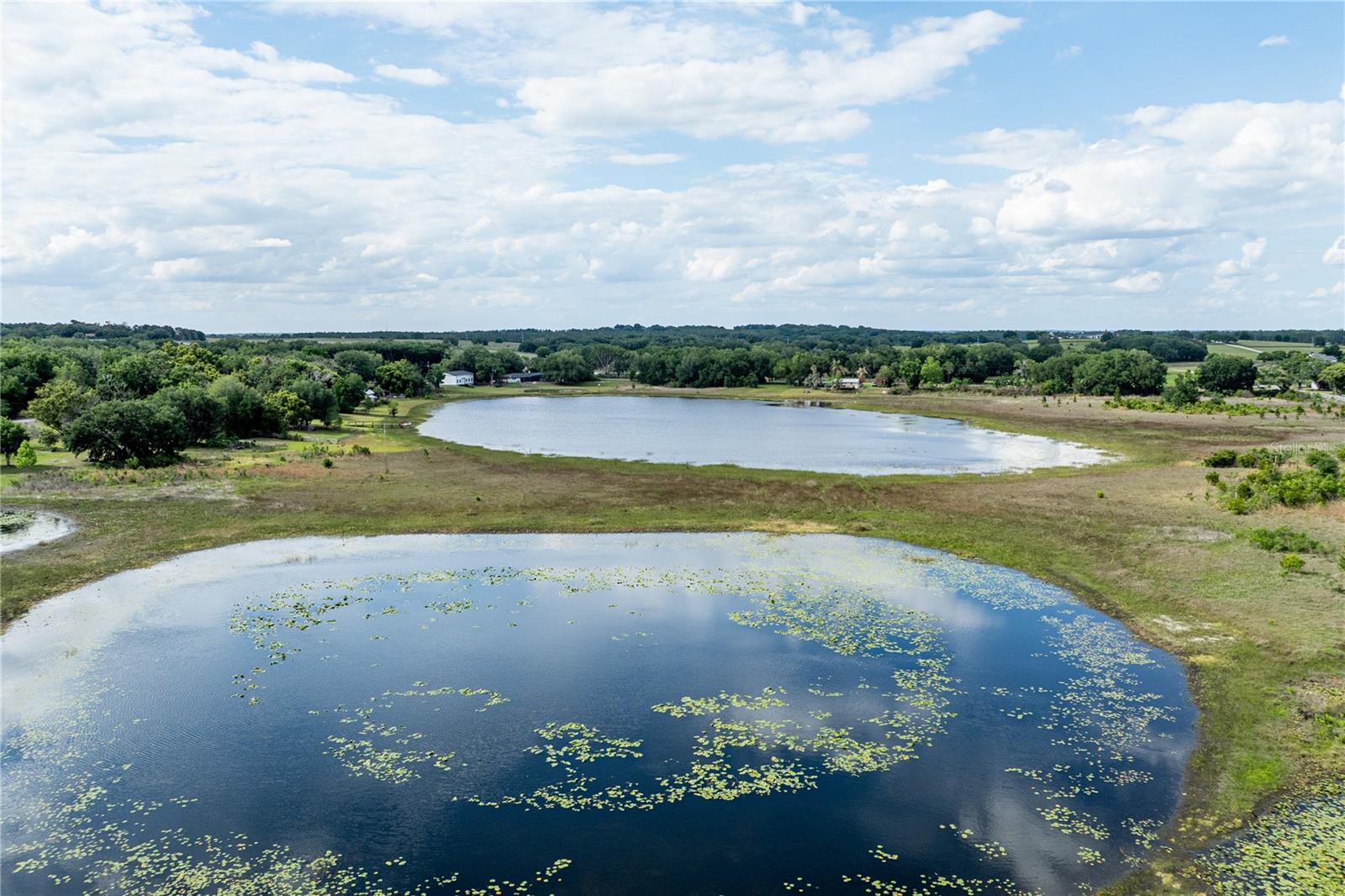 25101 TURKEY LAKE RD, HOWEY IN THE HILLS, FL, 34737