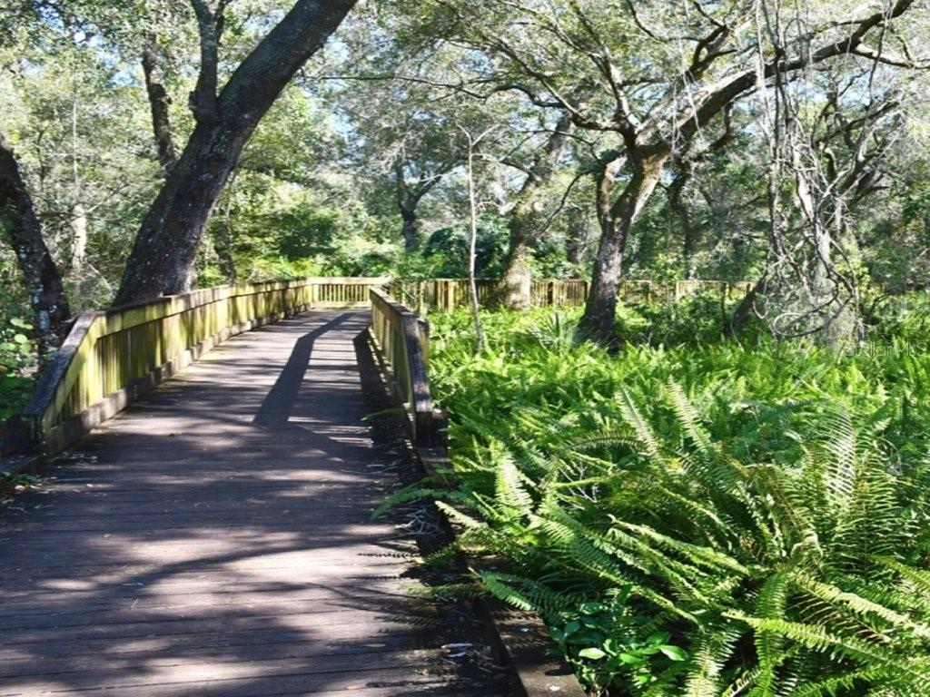 6325 30TH ST N, ST PETERSBURG, FL, 33702