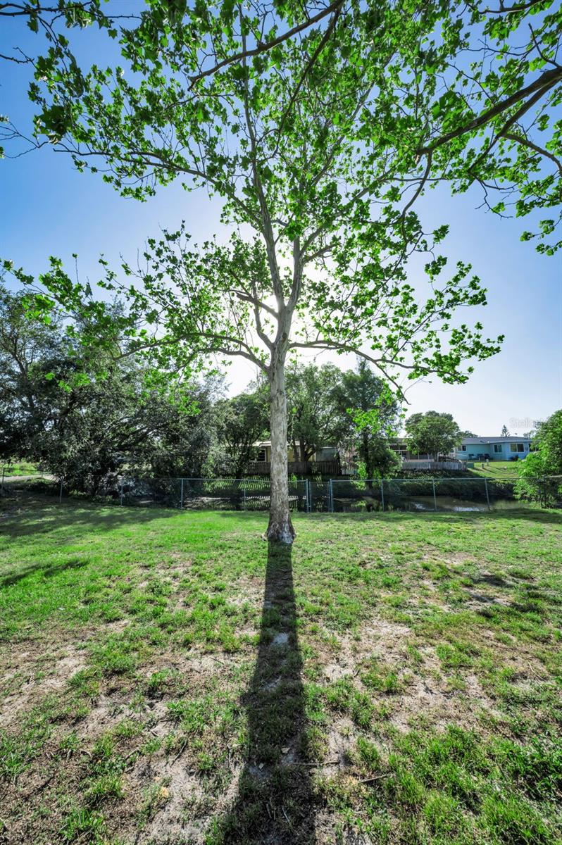 3011 SHADOW OAKS DR, HOLIDAY, FL, 34690