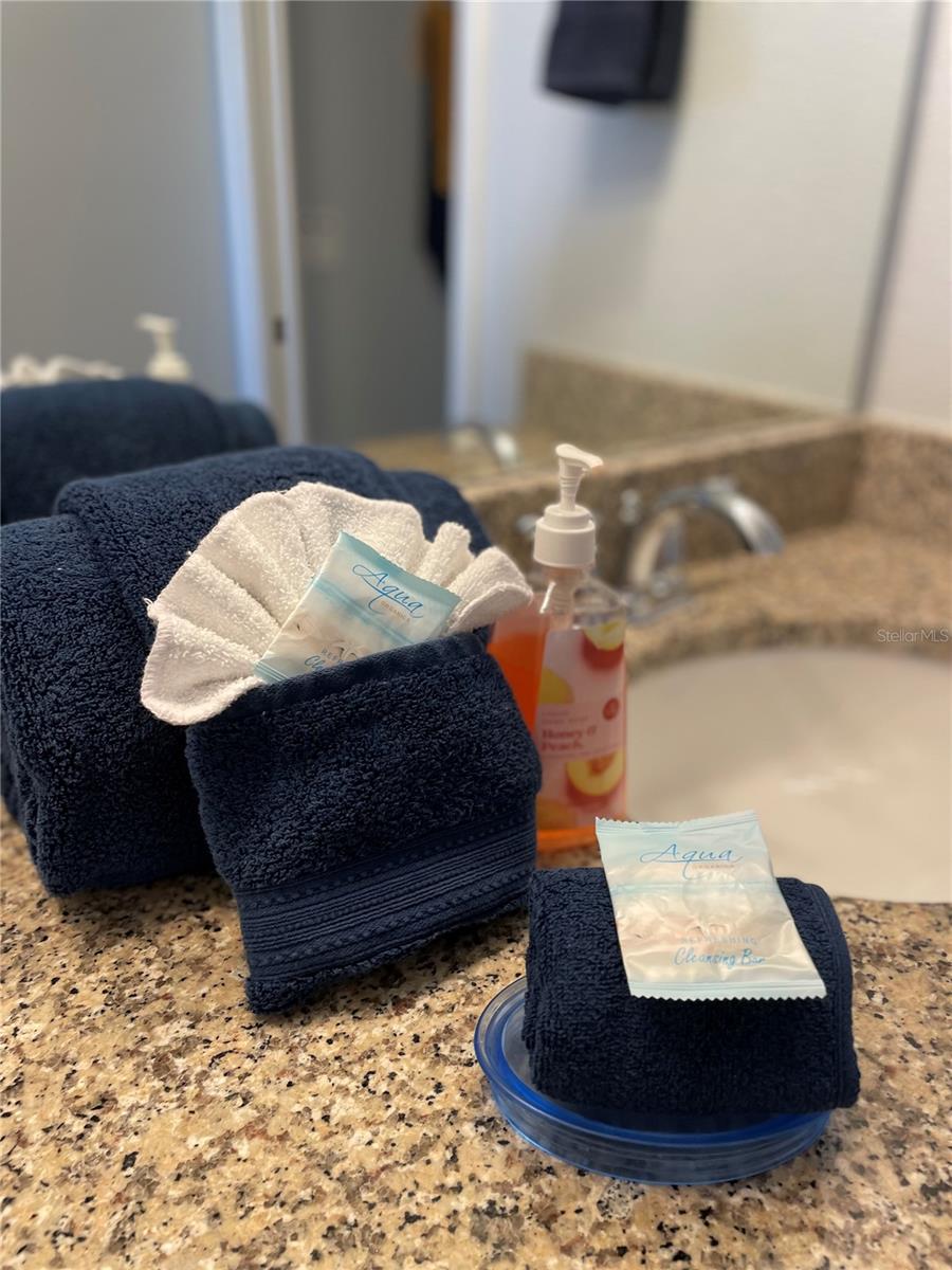 313 CAPTIVA DR, DAVENPORT, FL, 33896