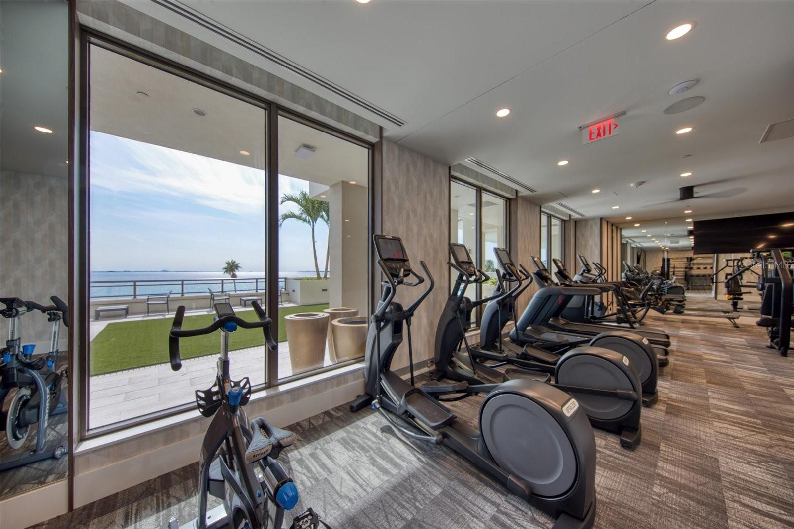 2103 BAYSHORE BLVD #703, TAMPA, FL, 33606