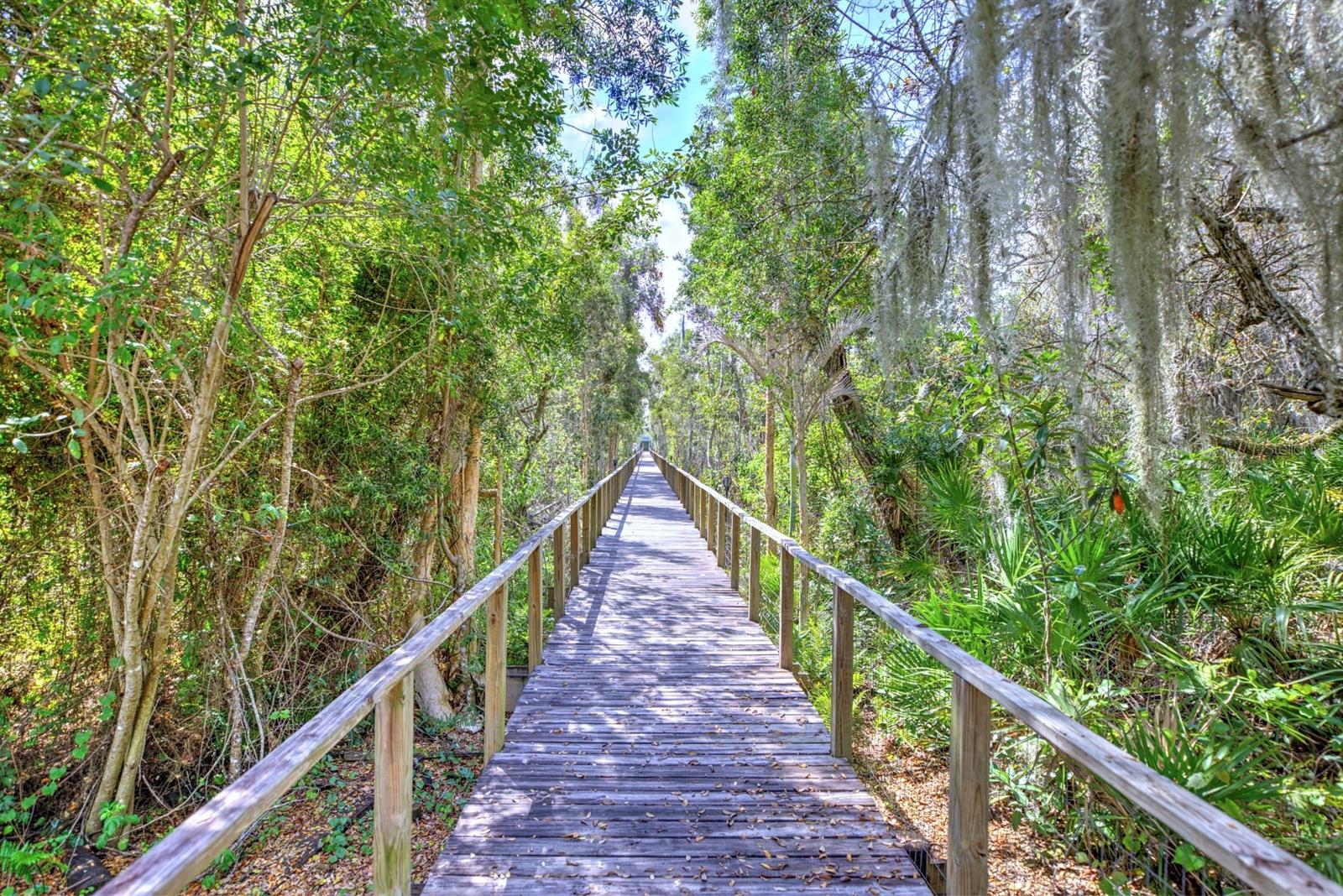 424 LAKE MIRROR DR, LAKE PLACID, FL, 33852