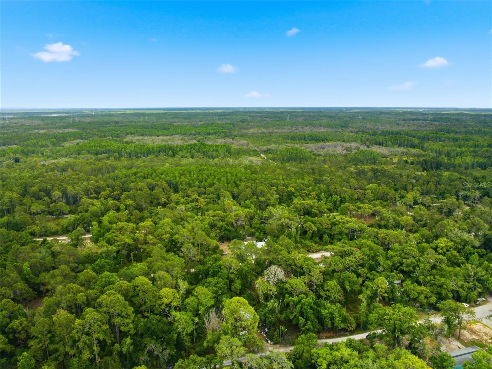 11110 WEBB ST, NEW PORT RICHEY, FL, 34654