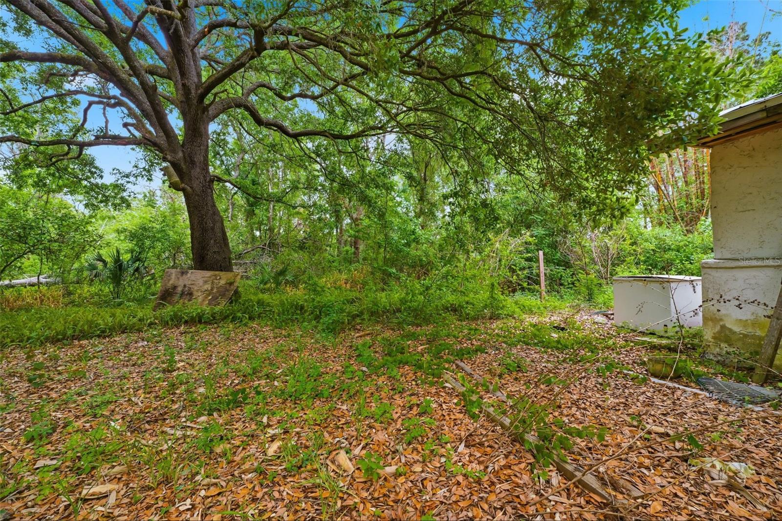 11110 WEBB ST, NEW PORT RICHEY, FL, 34654