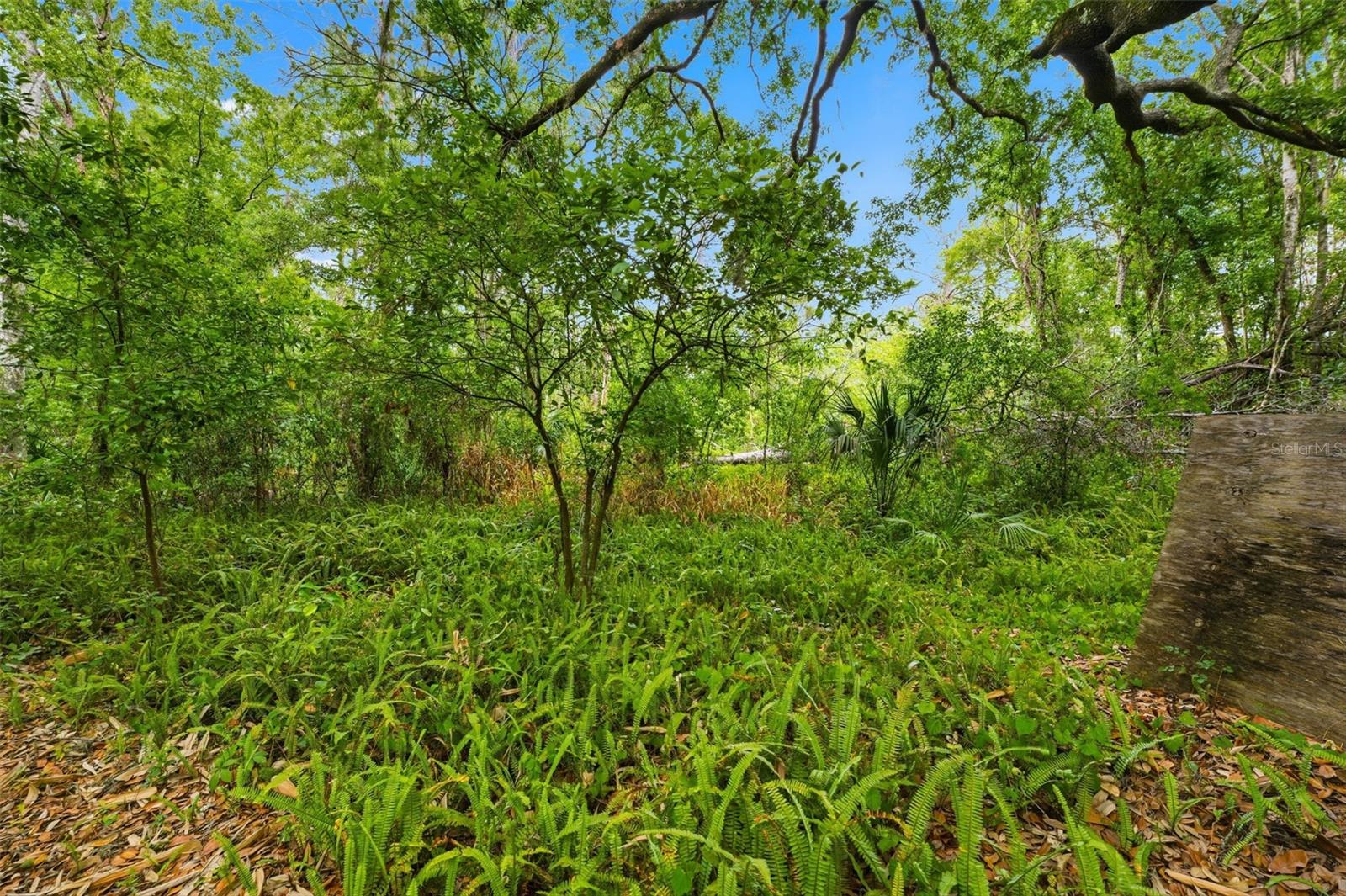 11110 WEBB ST, NEW PORT RICHEY, FL, 34654