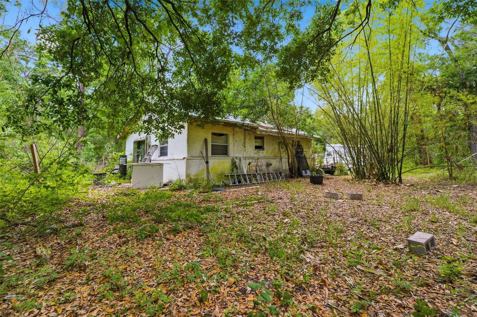 11110 WEBB ST, NEW PORT RICHEY, FL, 34654