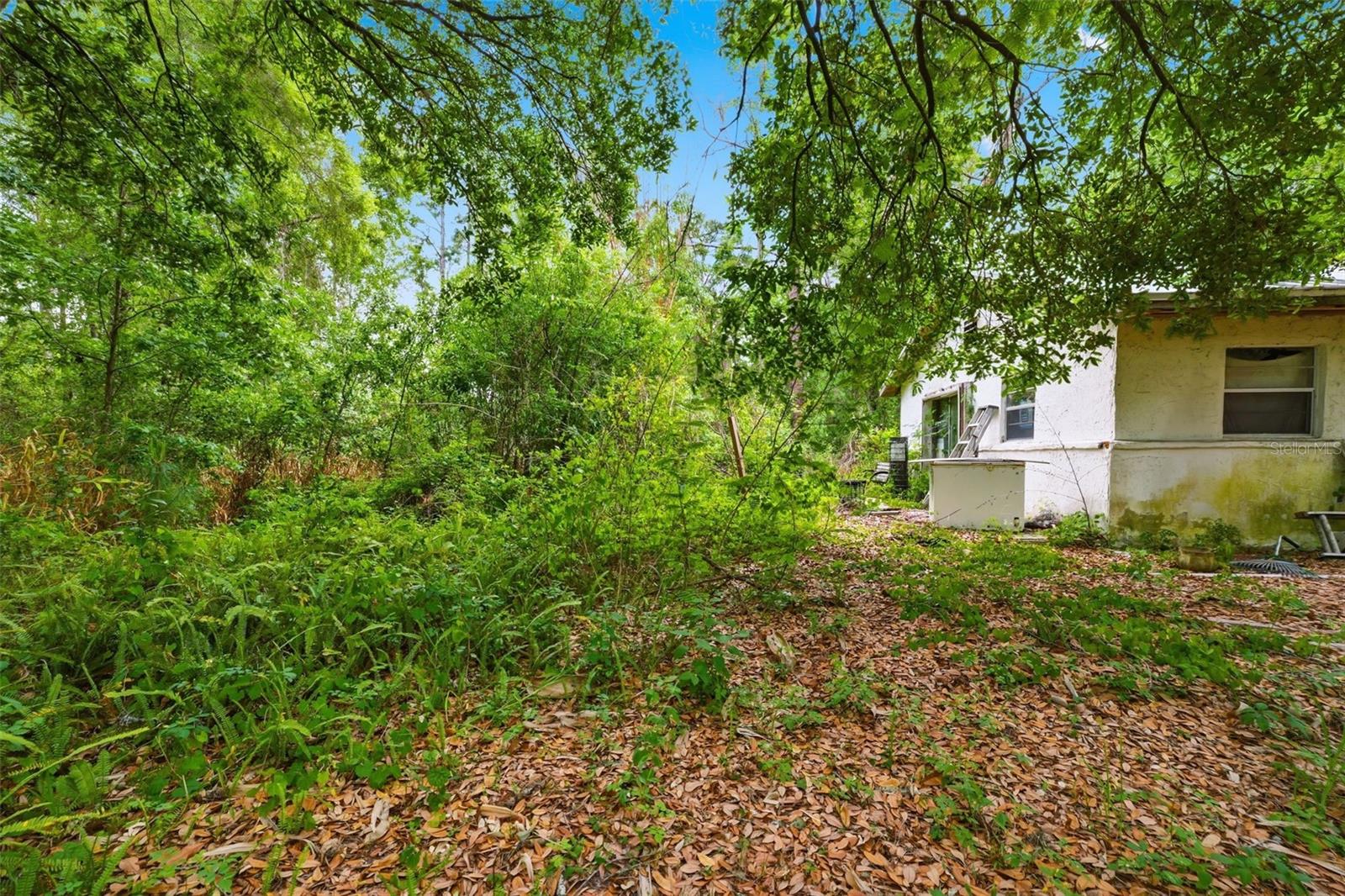 11110 WEBB ST, NEW PORT RICHEY, FL, 34654