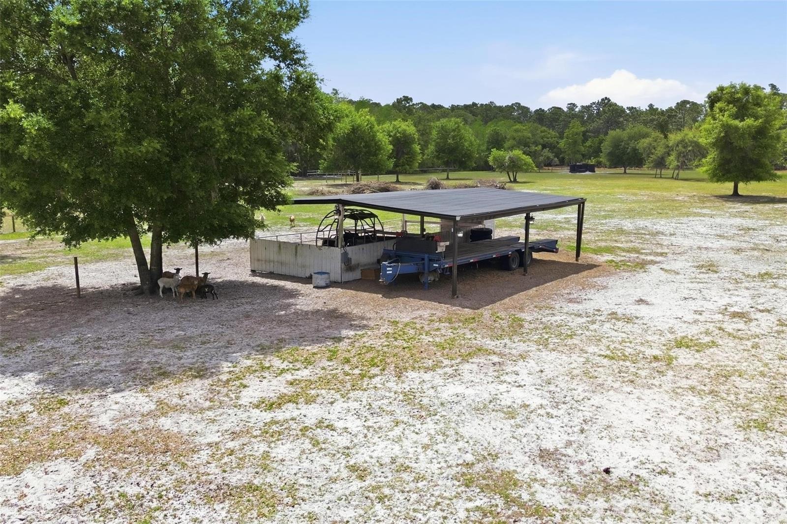 345 CYPRESS ISLES RD, OSTEEN, FL, 32764