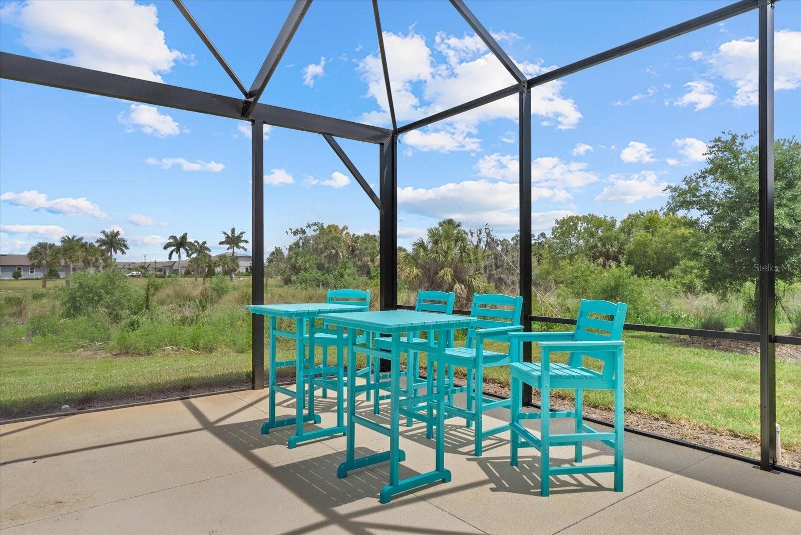 8510 COASTAL PALMS GLN, PARRISH, FL, 34219