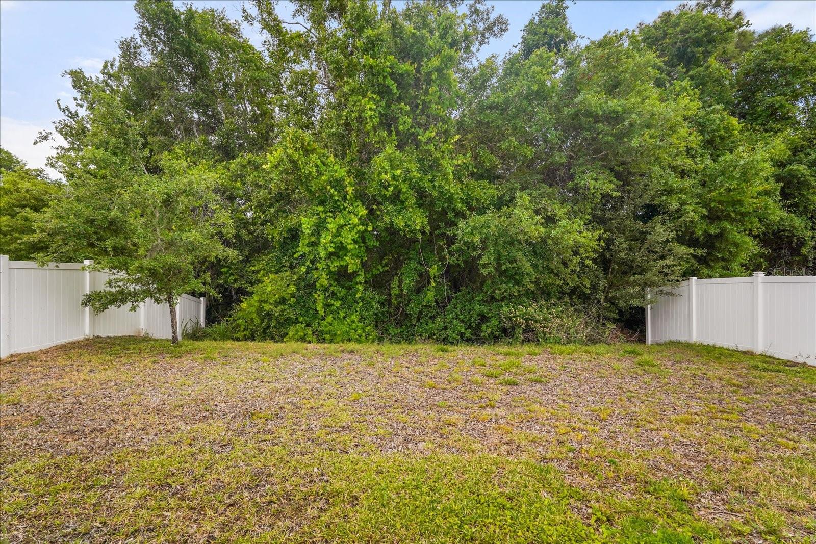 357 SIESTA VISTA CT, DAVENPORT, FL, 33896