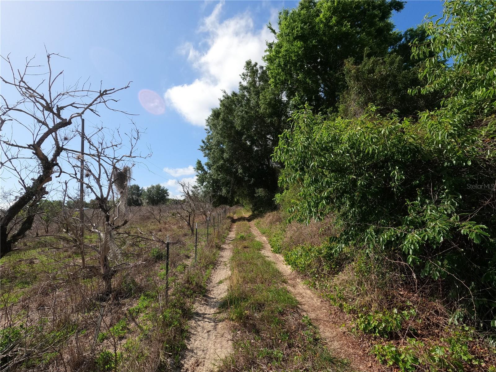 0 EARTH STAR LN, GROVELAND, FL, 34736