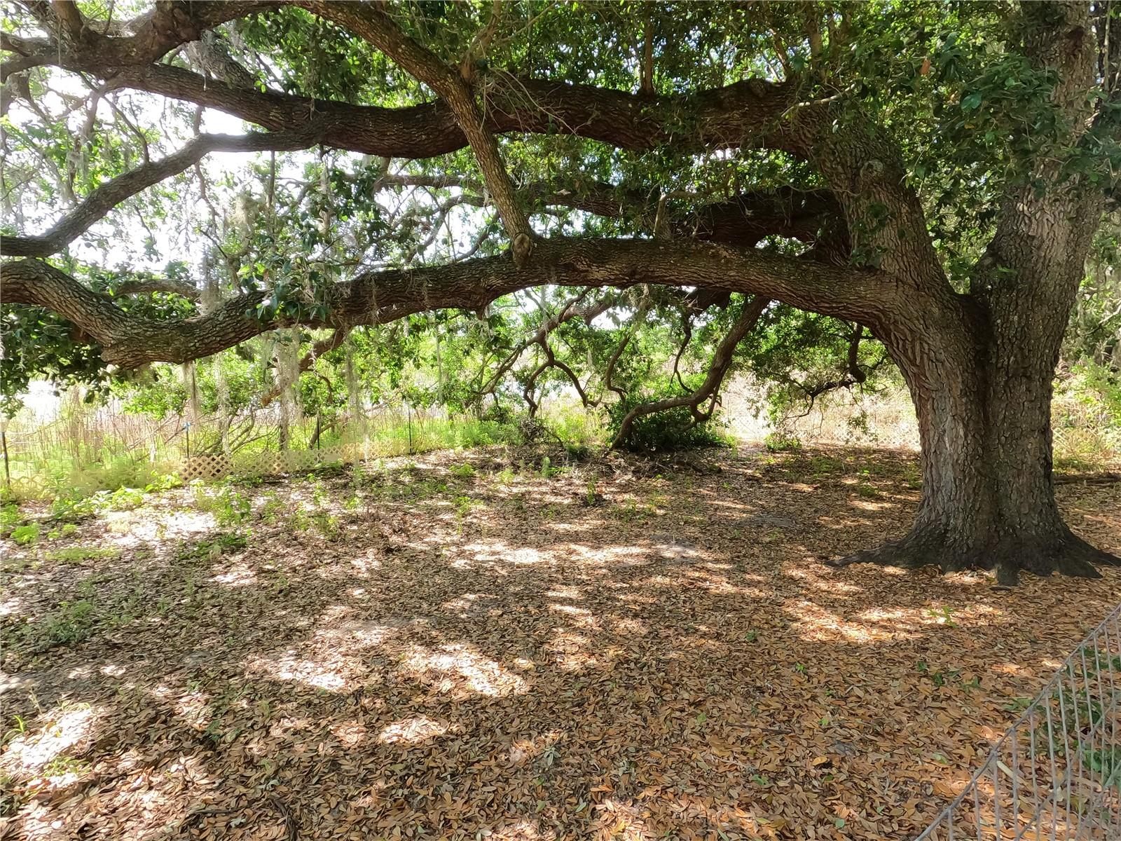 0 EARTH STAR LN, GROVELAND, FL, 34736