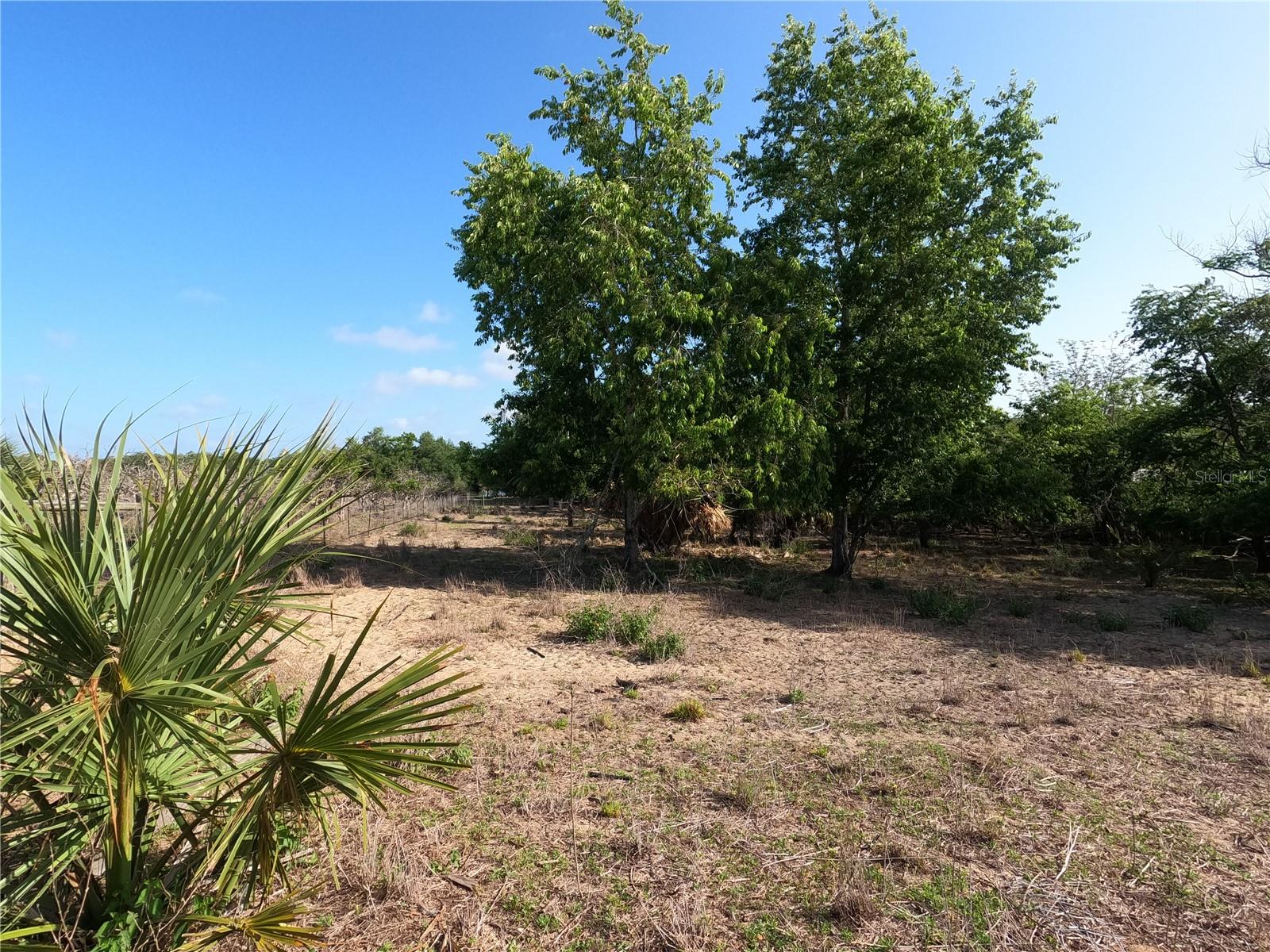 0 EARTH STAR LN, GROVELAND, FL, 34736