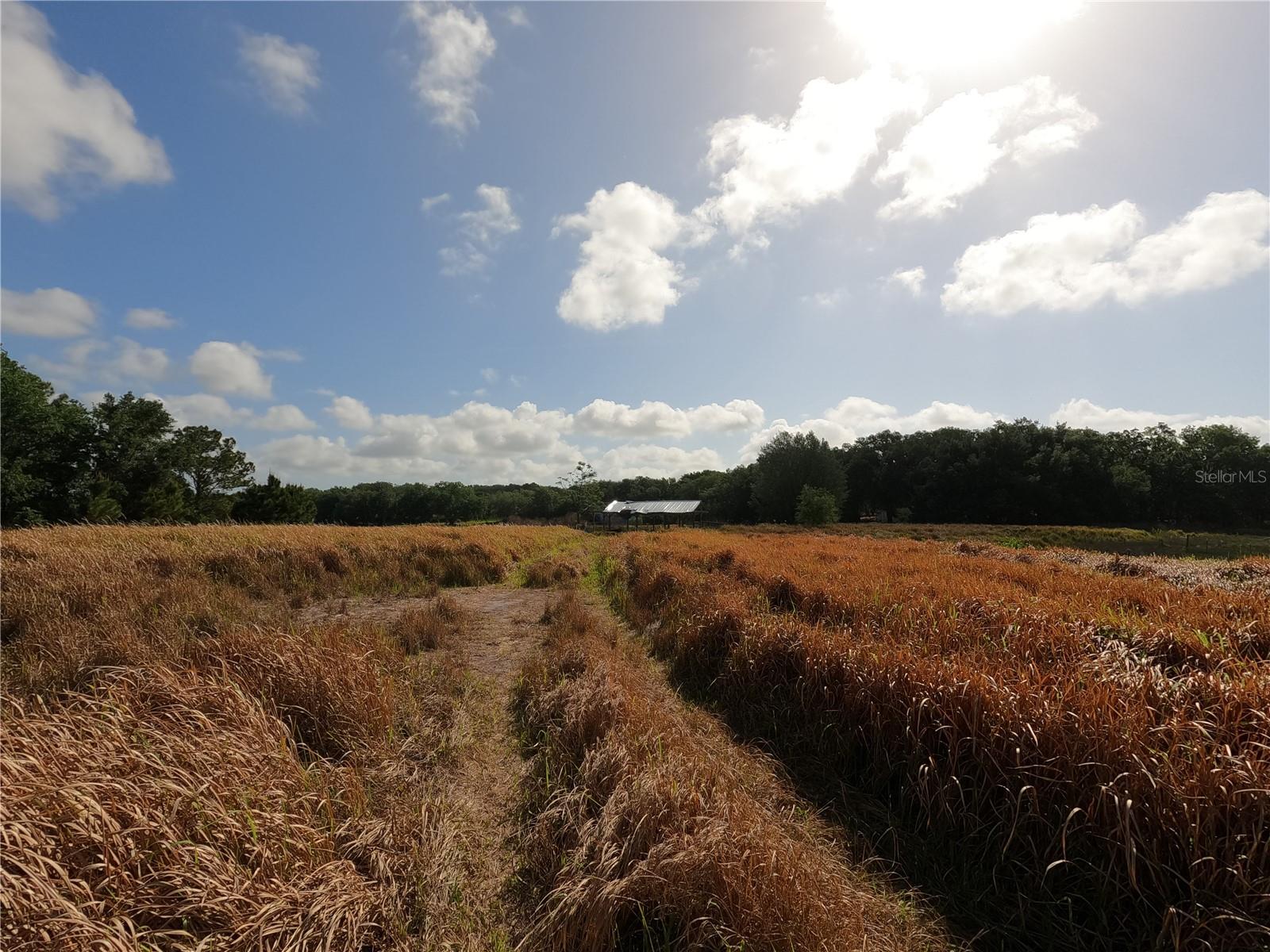 0 EARTH STAR LN, GROVELAND, FL, 34736