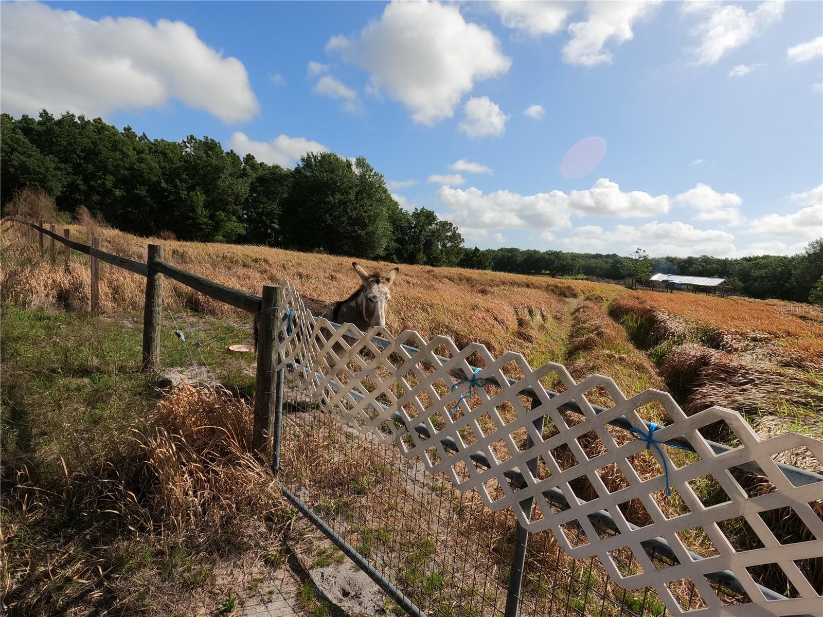 0 EARTH STAR LN, GROVELAND, FL, 34736