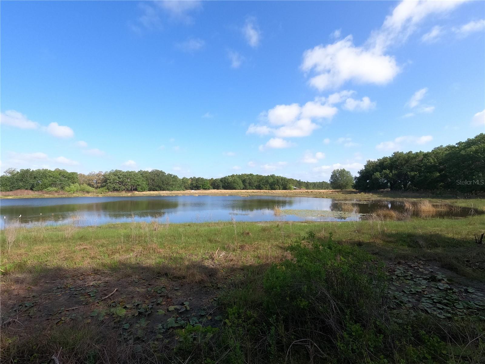 0 EARTH STAR LN, GROVELAND, FL, 34736