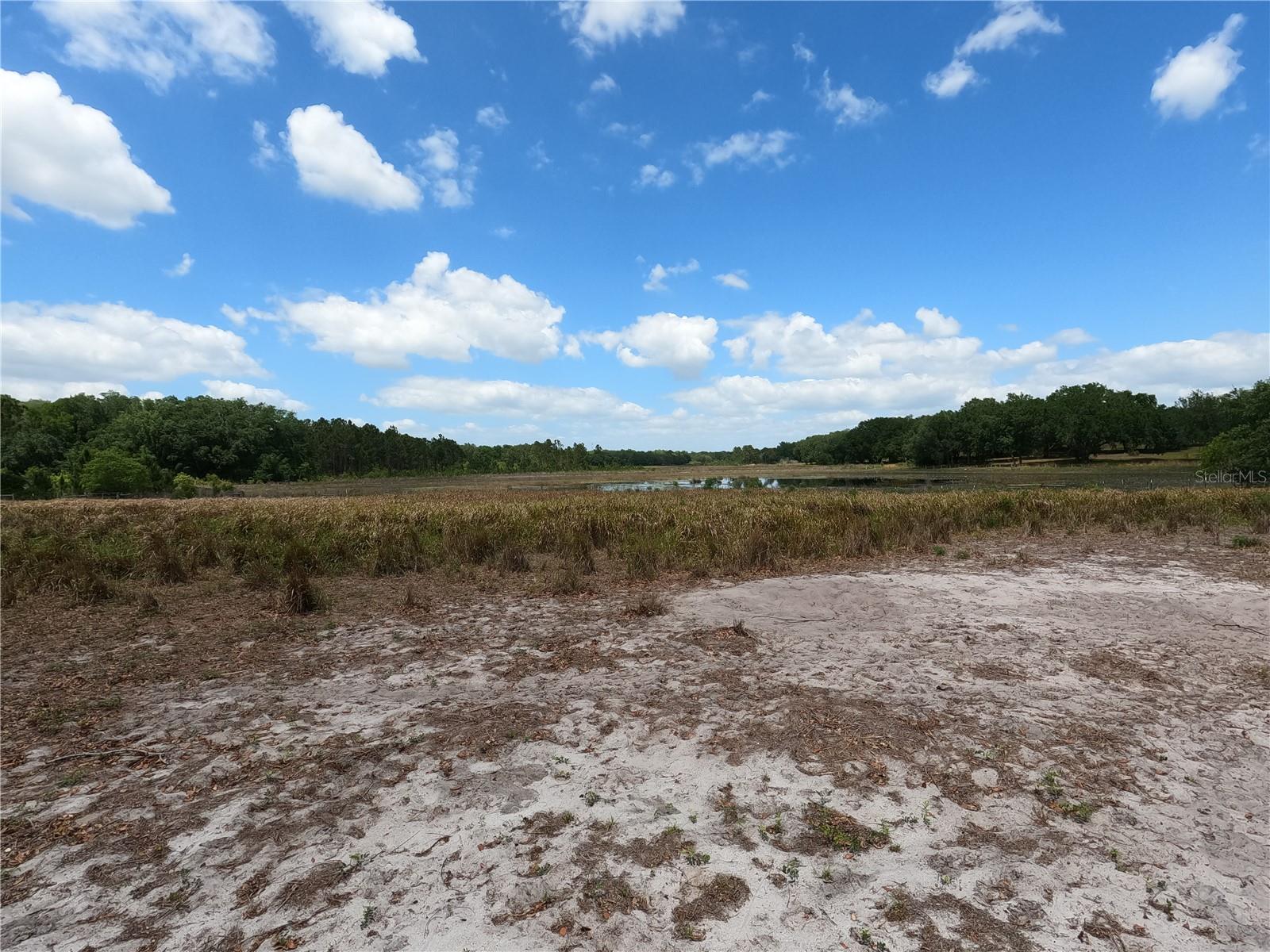 0 EARTH STAR LN, GROVELAND, FL, 34736