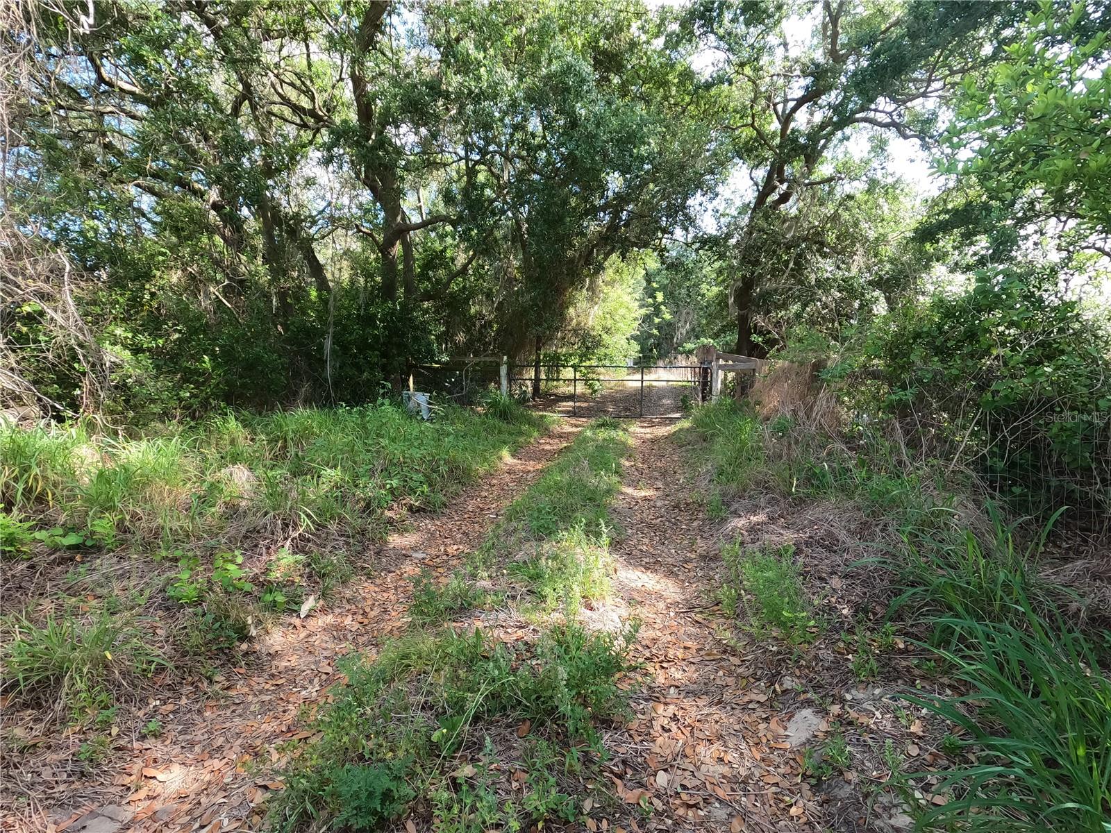 0 EARTH STAR LN, GROVELAND, FL, 34736