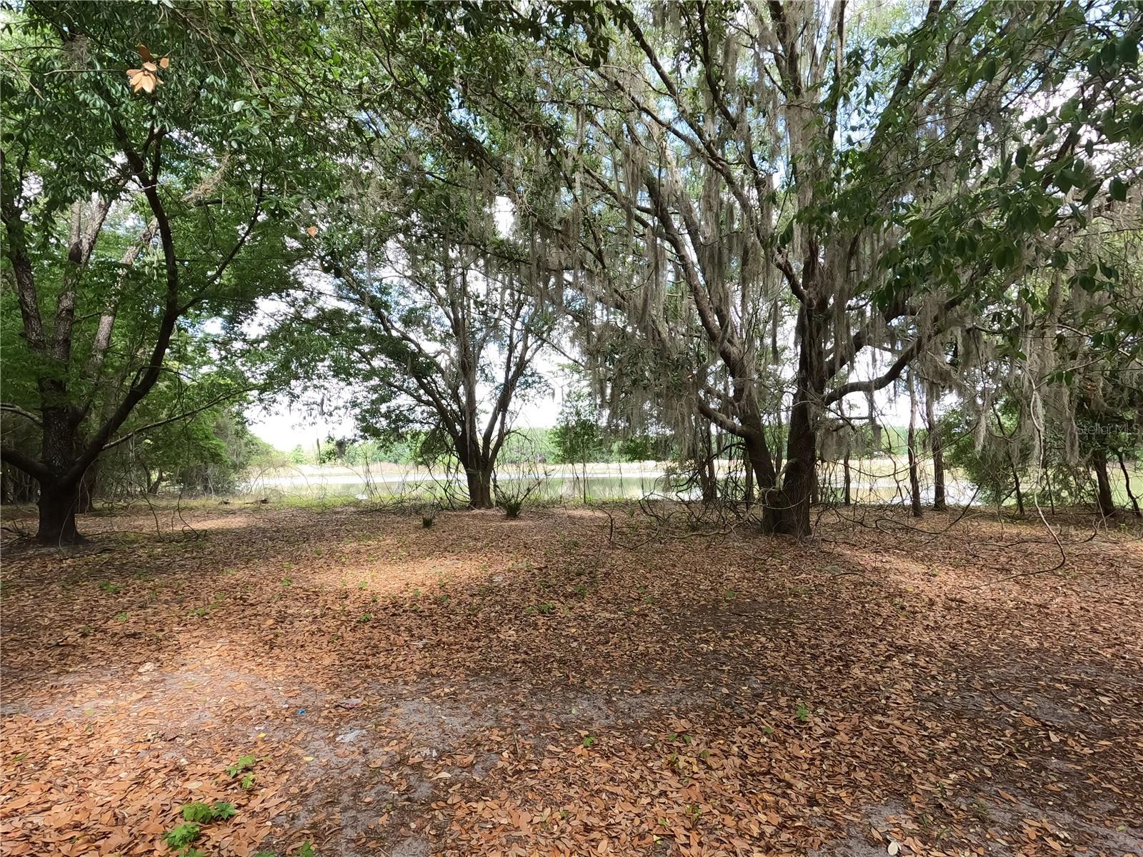 0 EARTH STAR LN, GROVELAND, FL, 34736