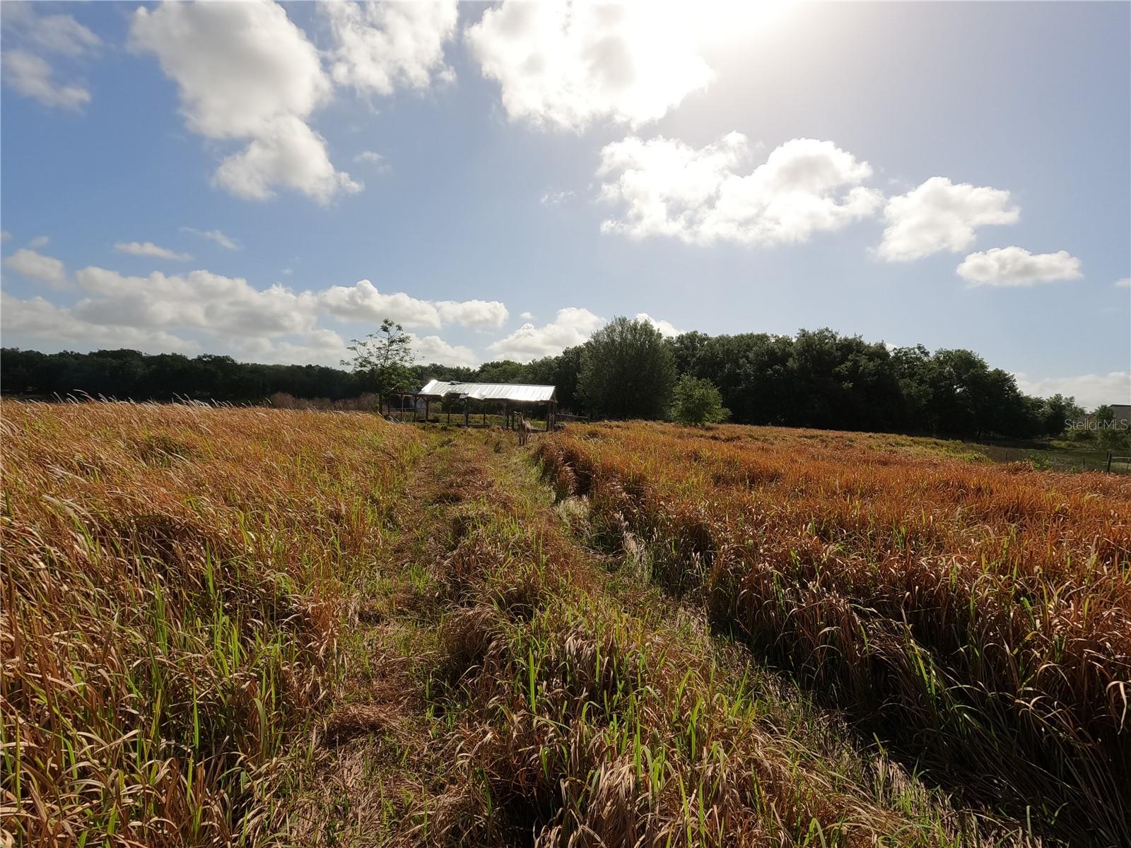 0 EARTH STAR LN, GROVELAND, FL, 34736