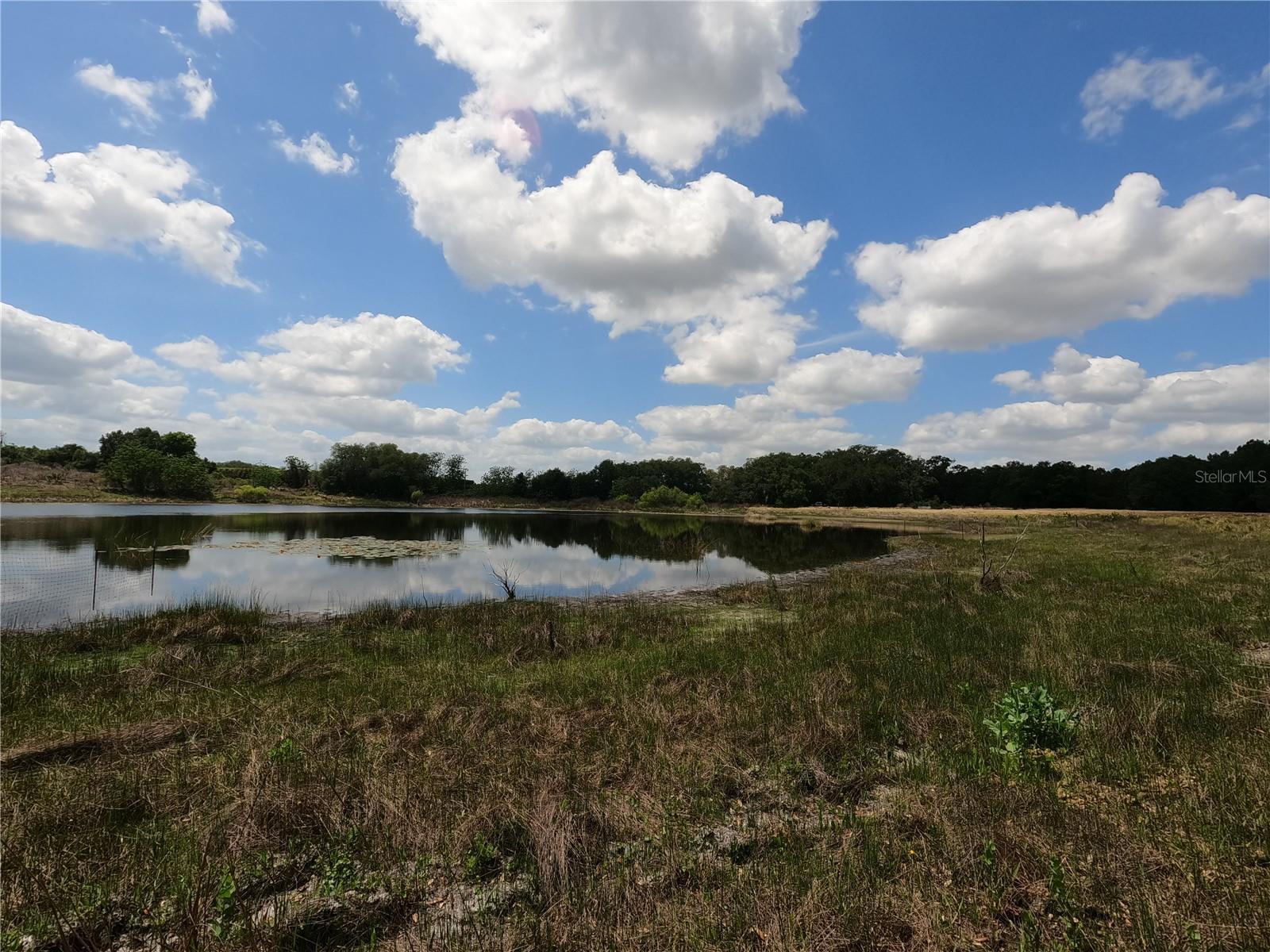 0 EARTH STAR LN, GROVELAND, FL, 34736