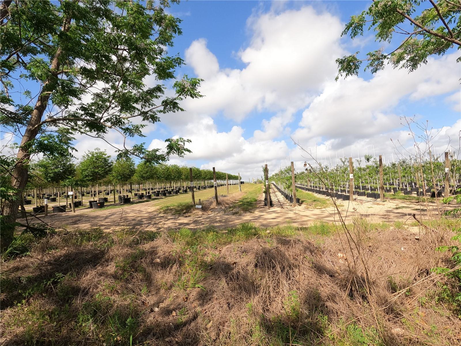 0 EARTH STAR LN, GROVELAND, FL, 34736