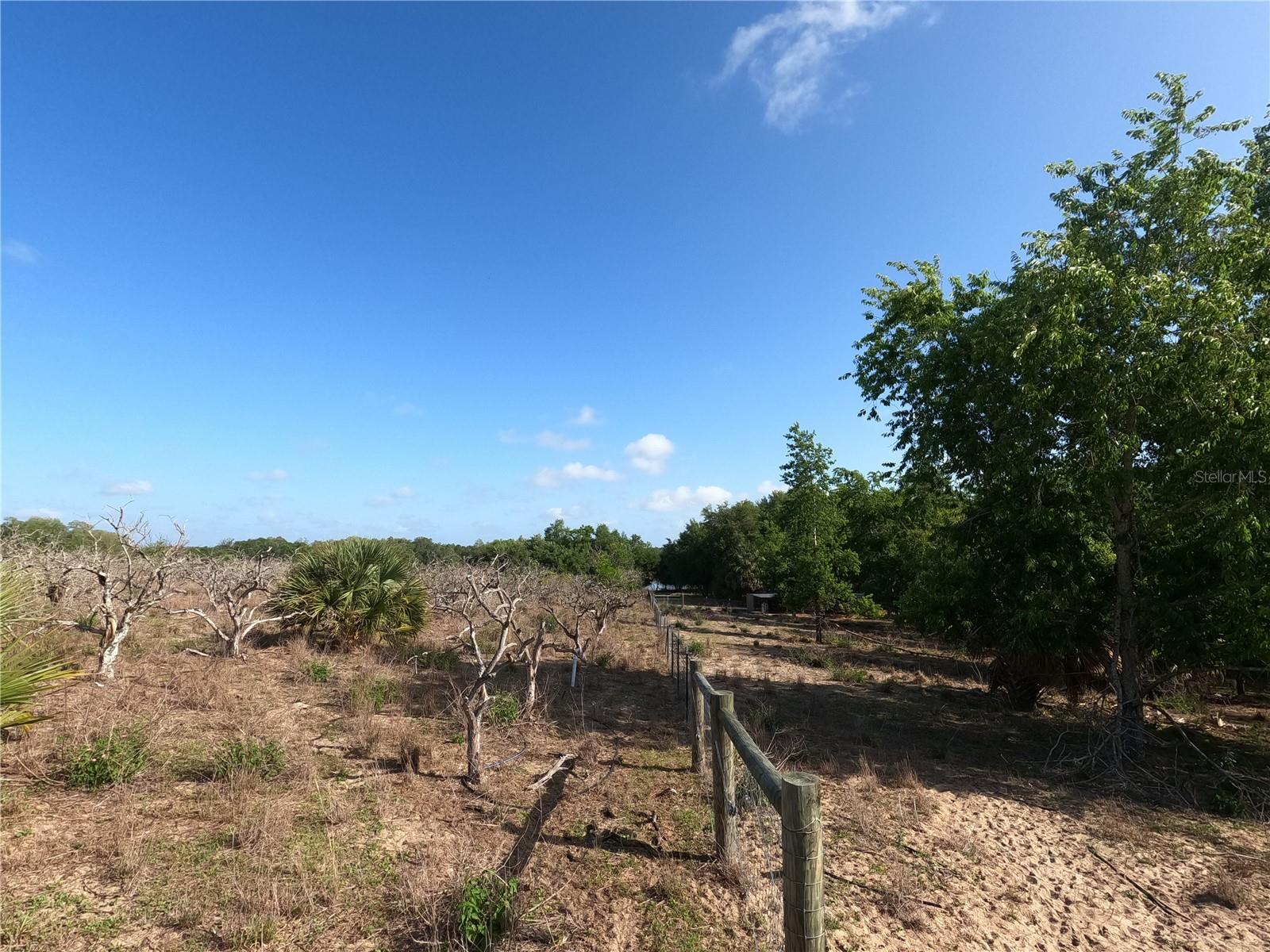 0 EARTH STAR LN, GROVELAND, FL, 34736