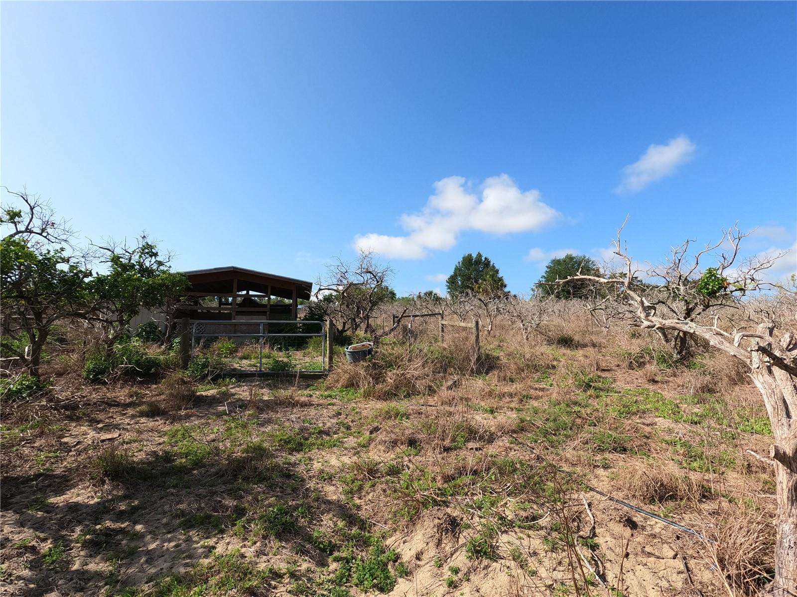 0 EARTH STAR LN, GROVELAND, FL, 34736