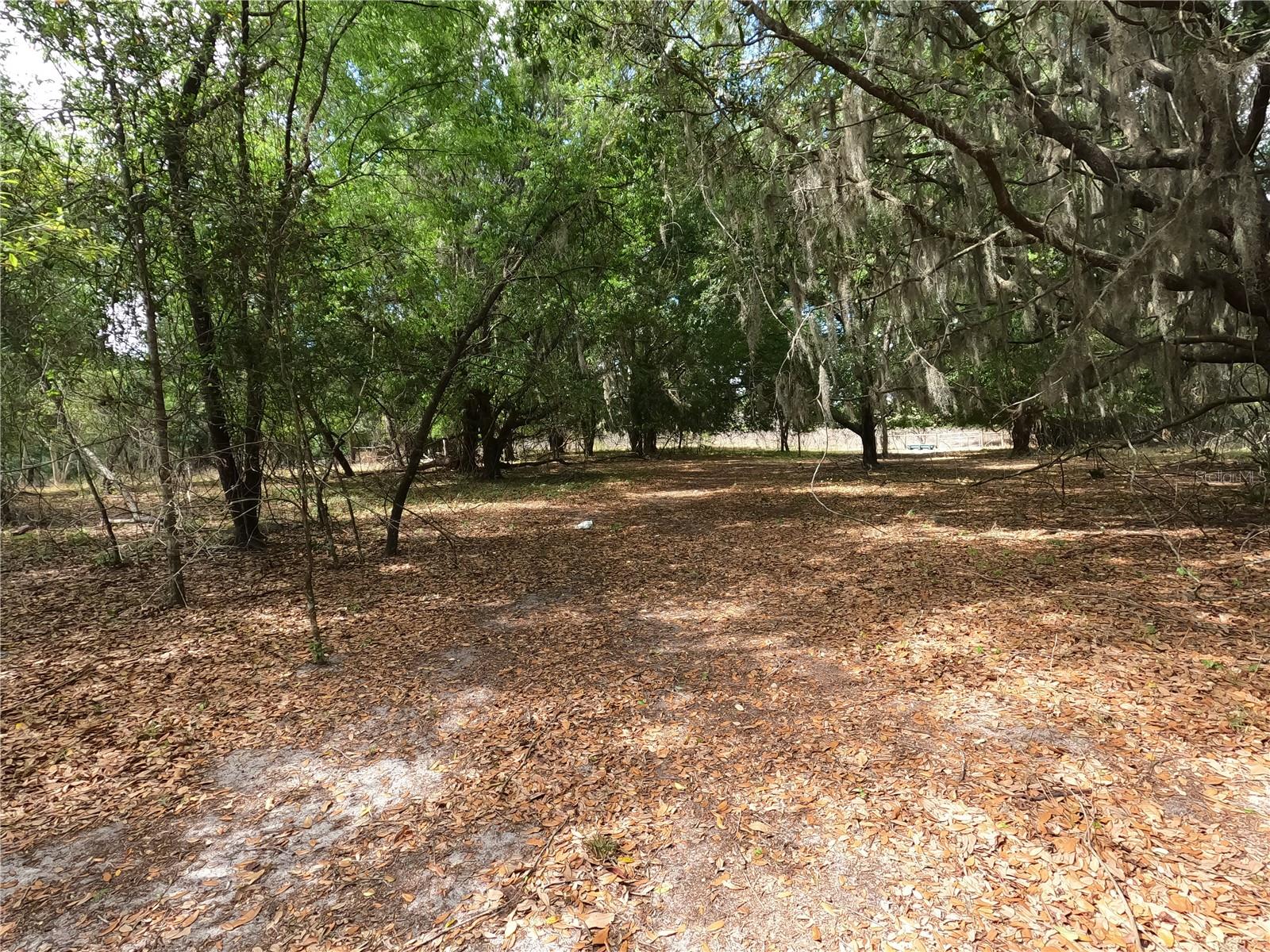 0 EARTH STAR LN, GROVELAND, FL, 34736